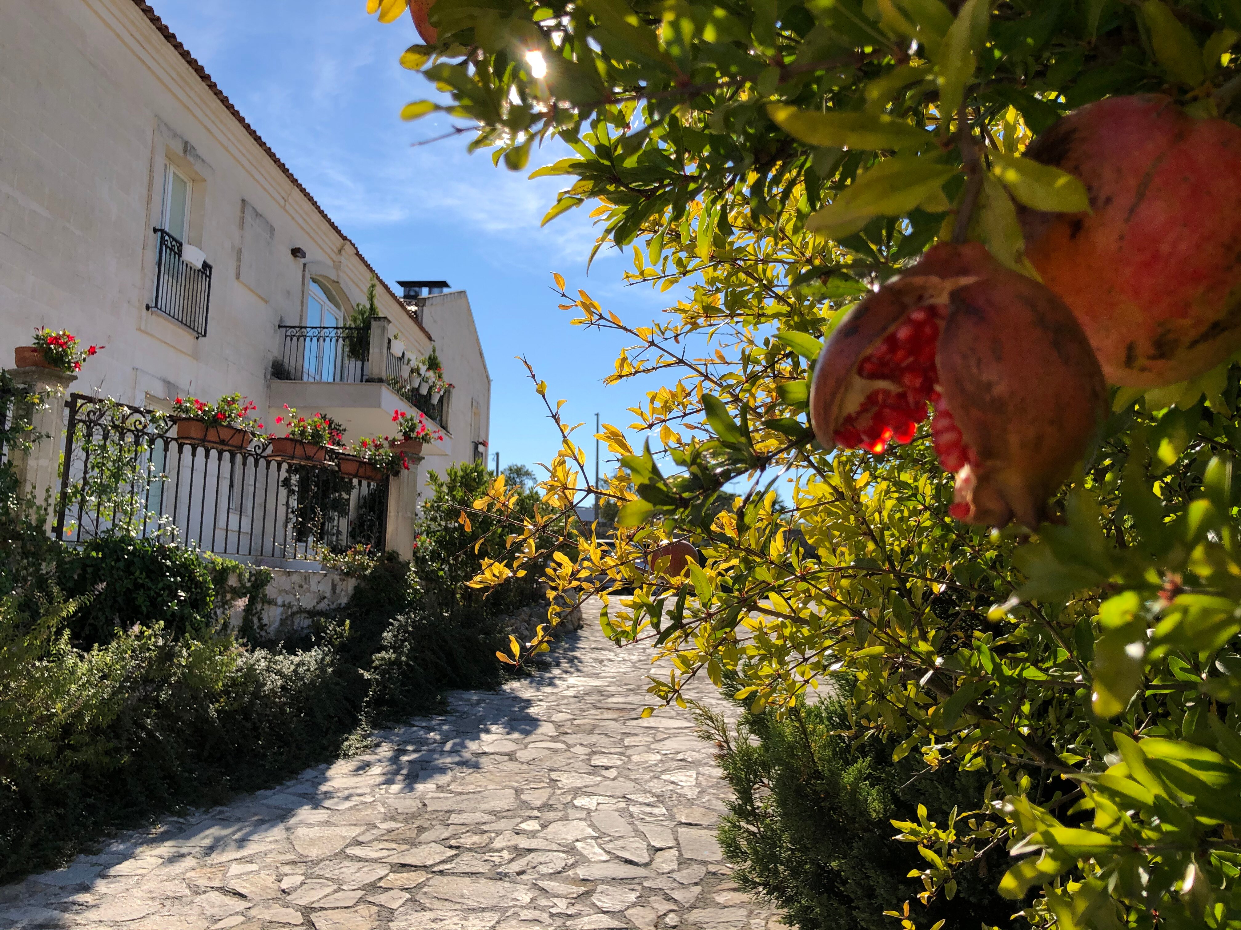 Фото Hotel Cave del Sole
