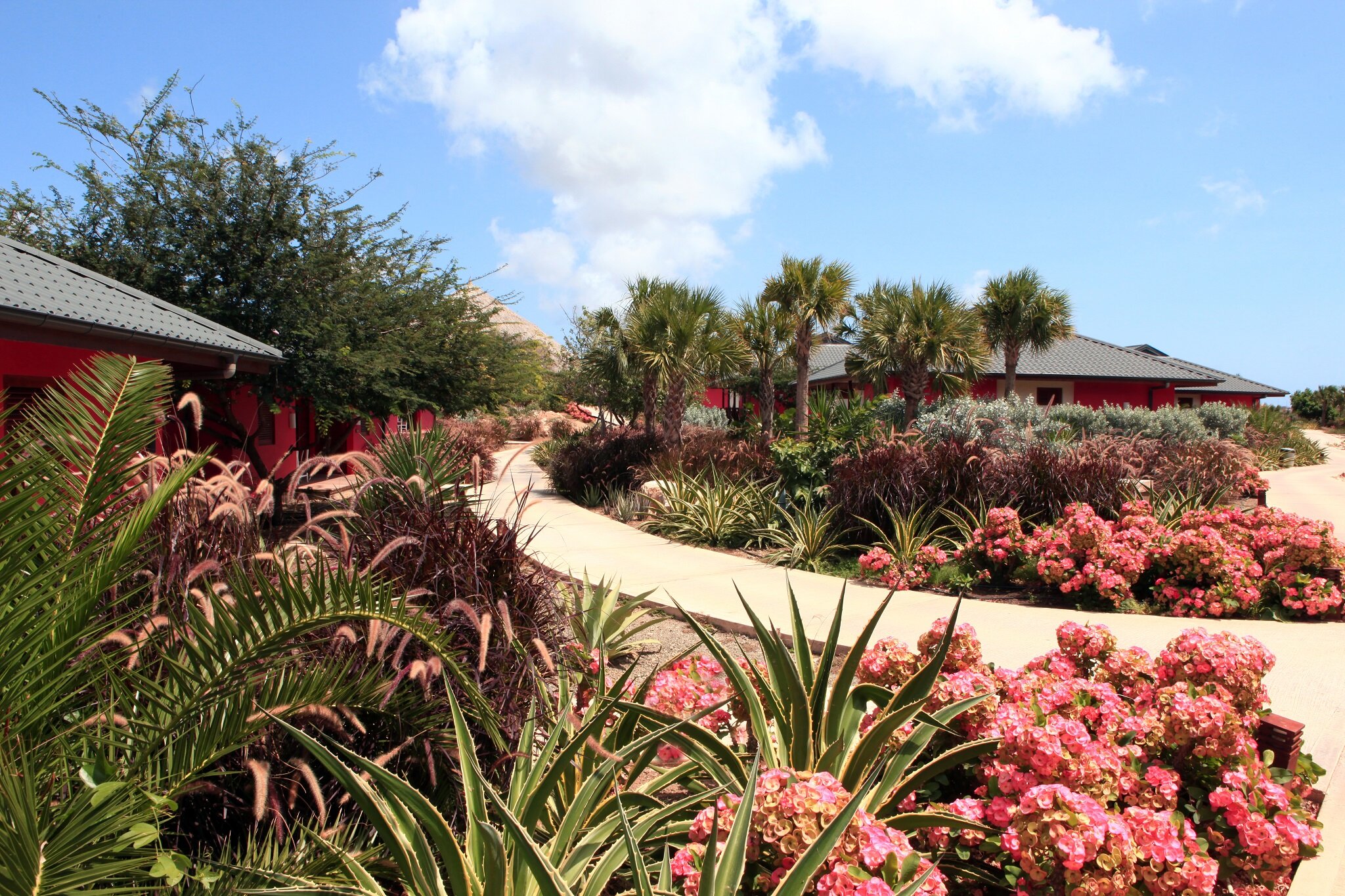 Фото Morena Resort