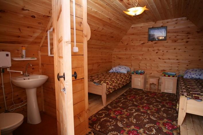 Фото Золотая рыбка