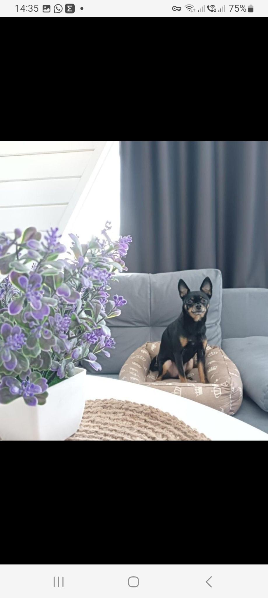 Фото Ягренево парк