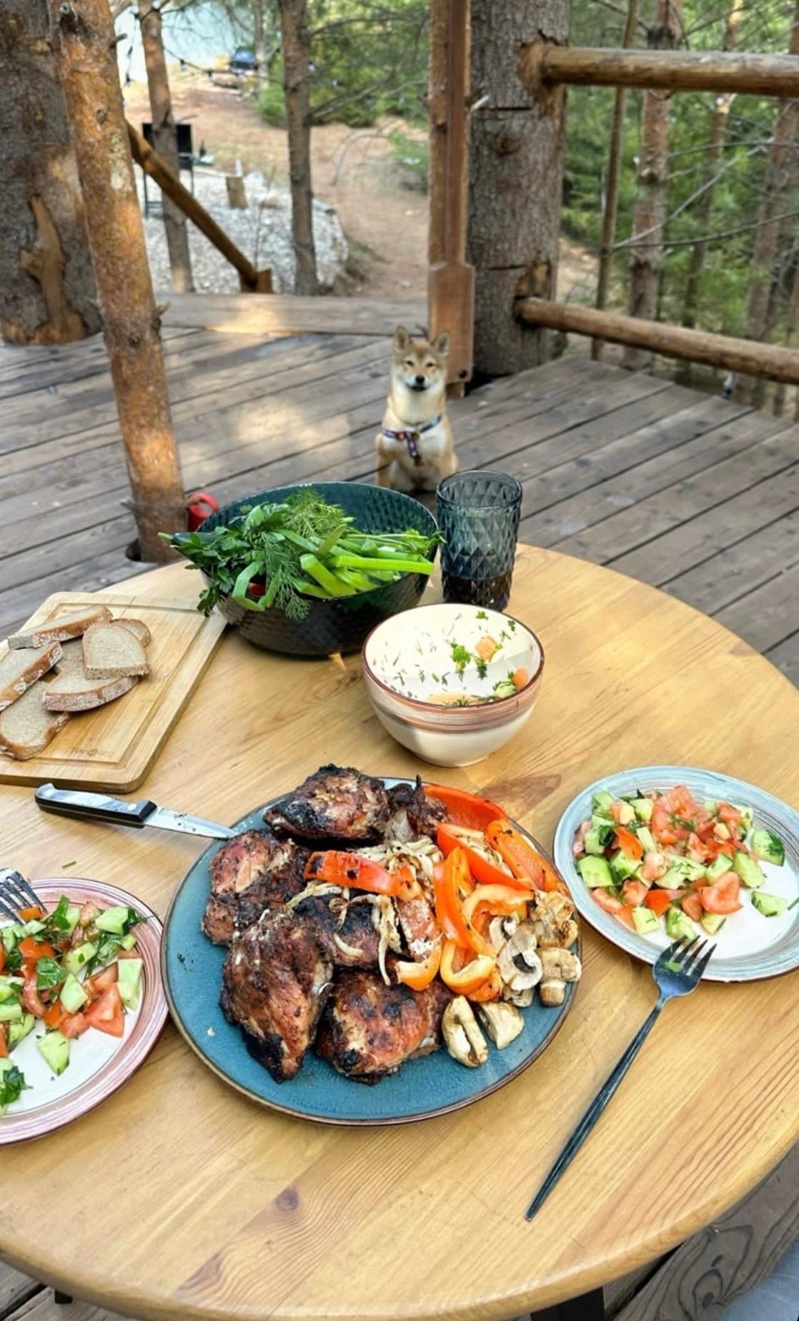 Фото Хвойная Хижина