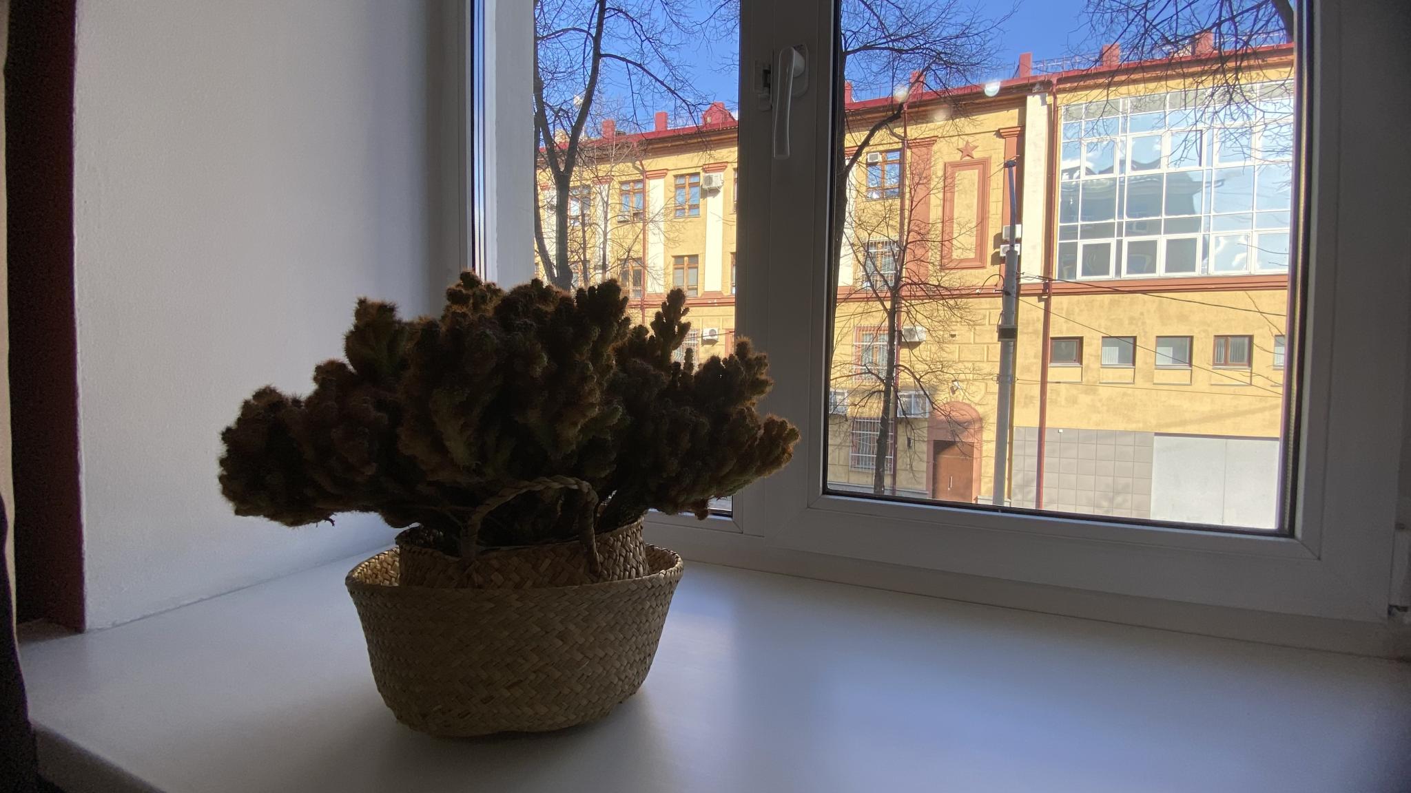 Фото Гостиница на Советском