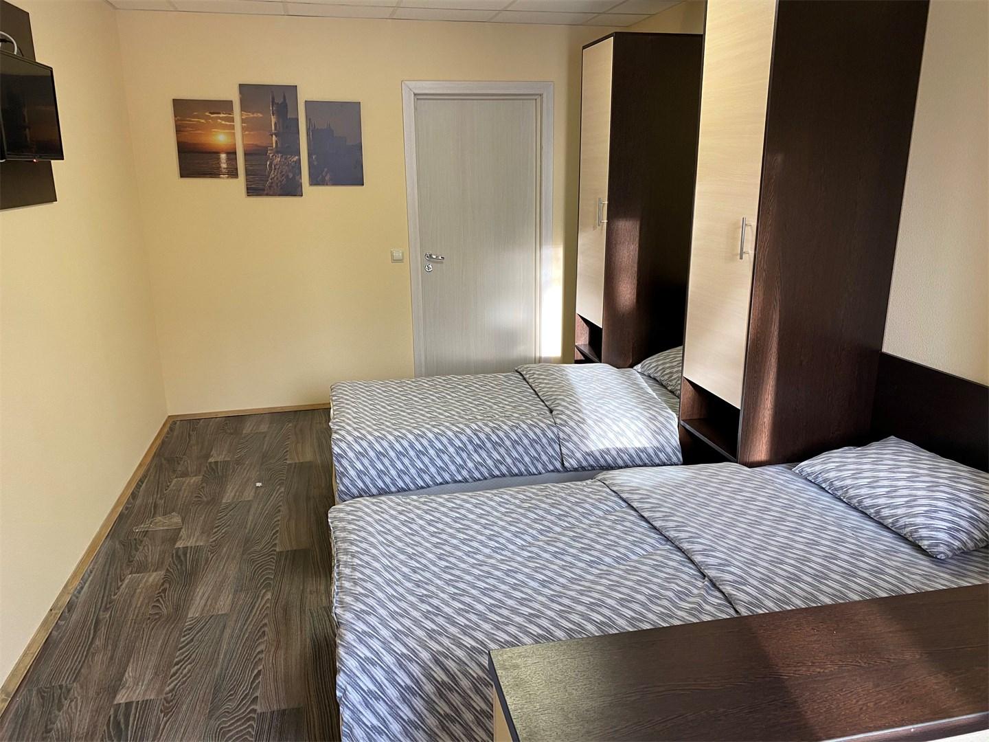 Фото Спутник