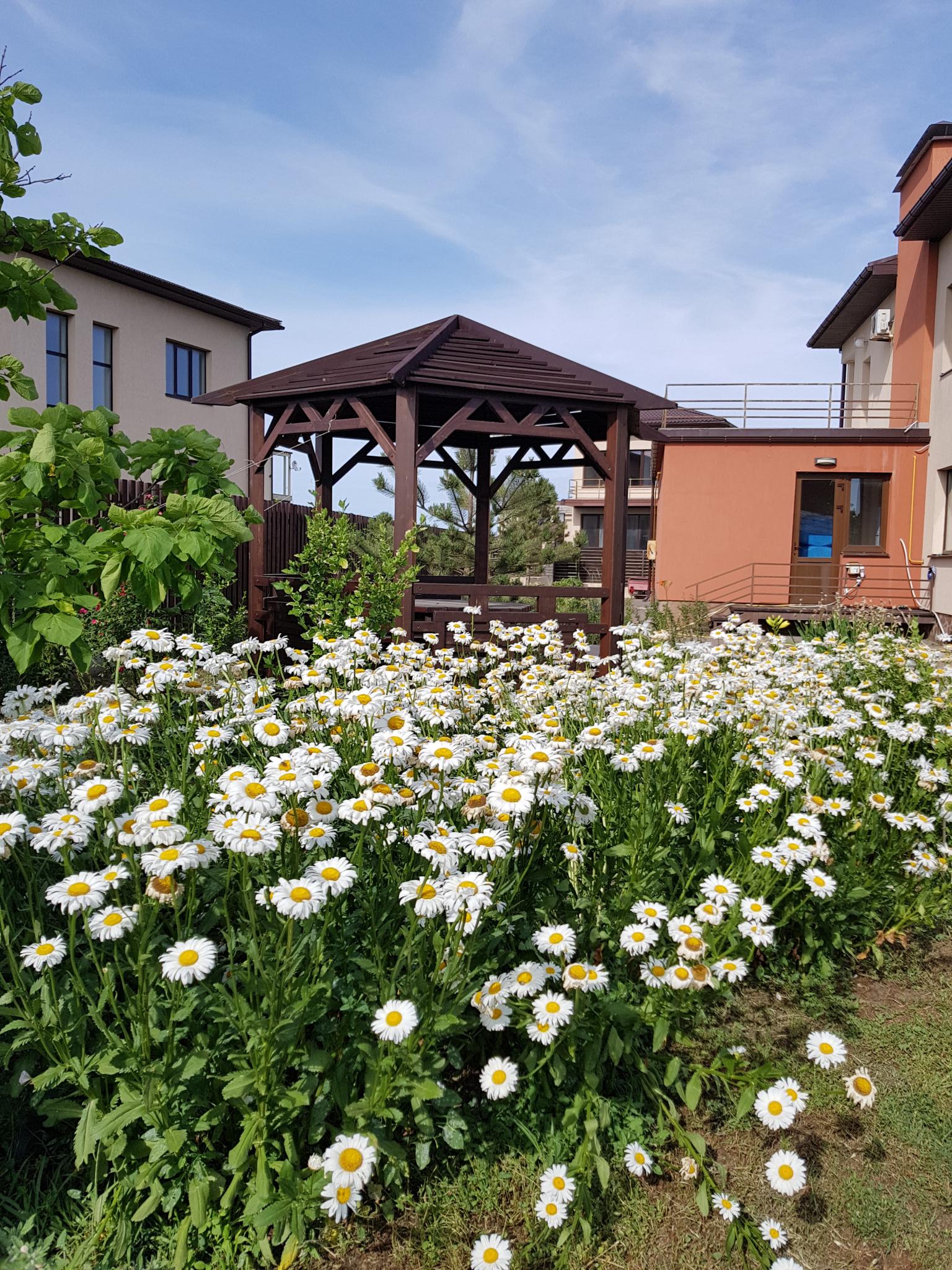 Фото Солнечный берег на улице Вишневая 6