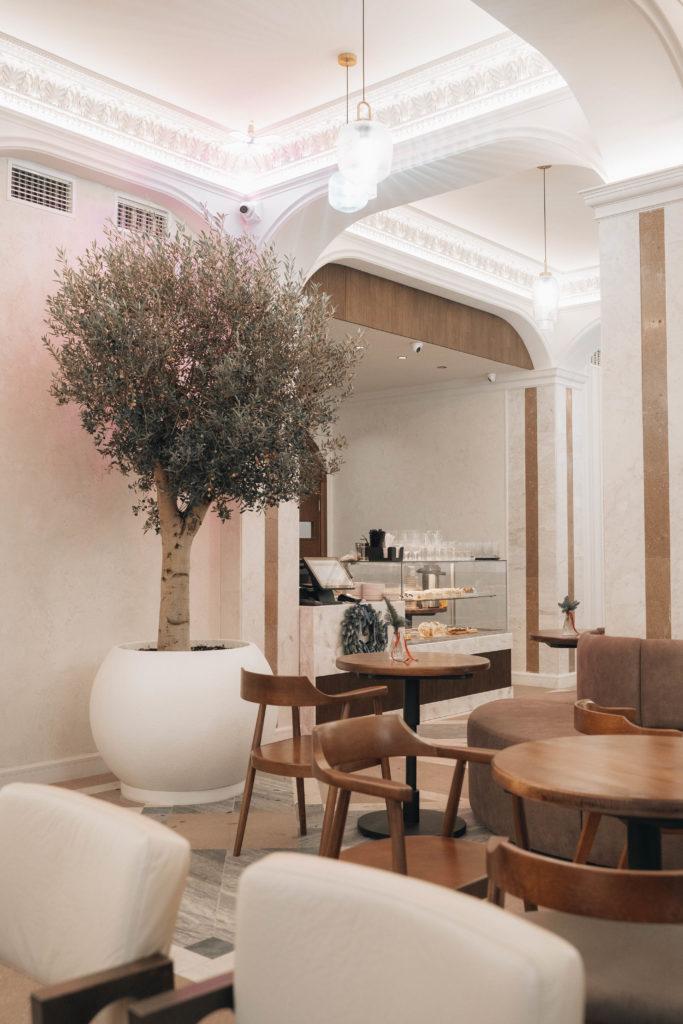 Фото Гармония