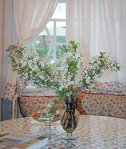 Фото Вишнёвый сад