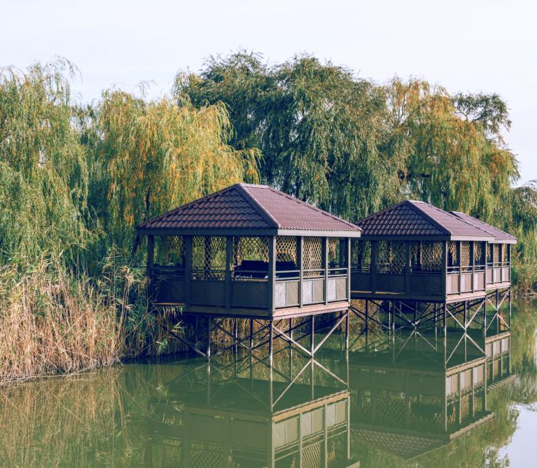 Фото Капустяная балка