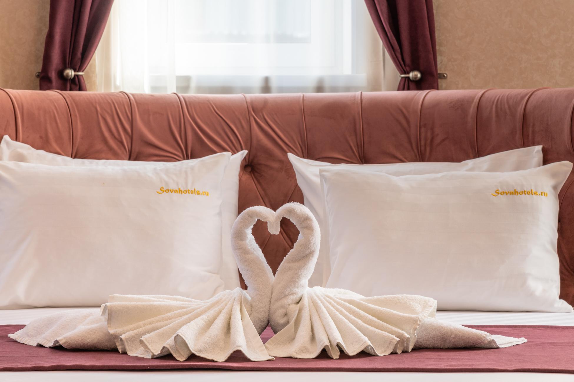 Фото Сова Беседы