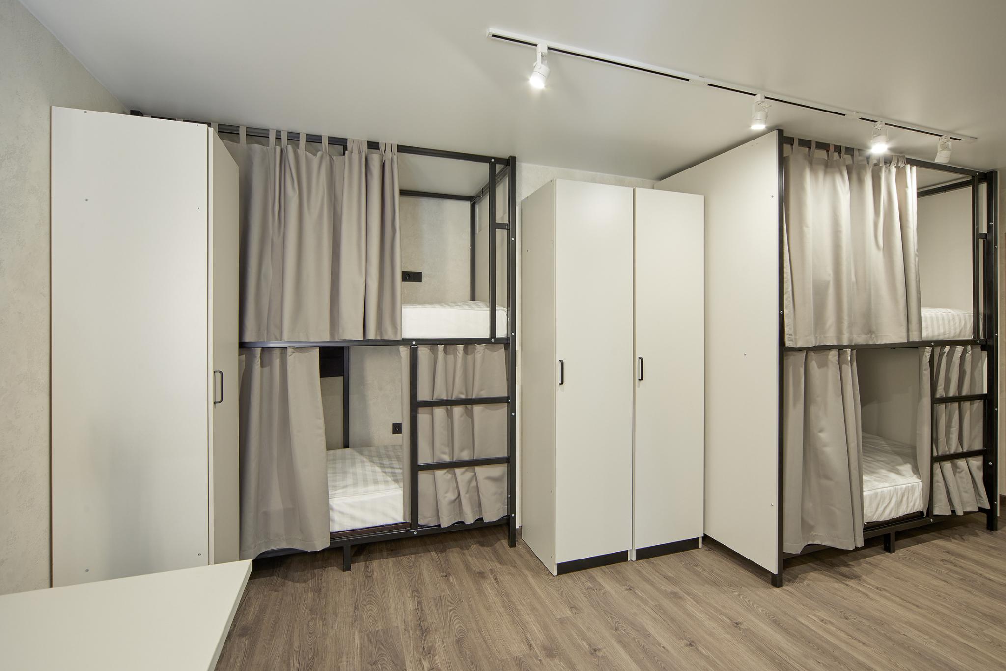 Фото Иркутский кедр