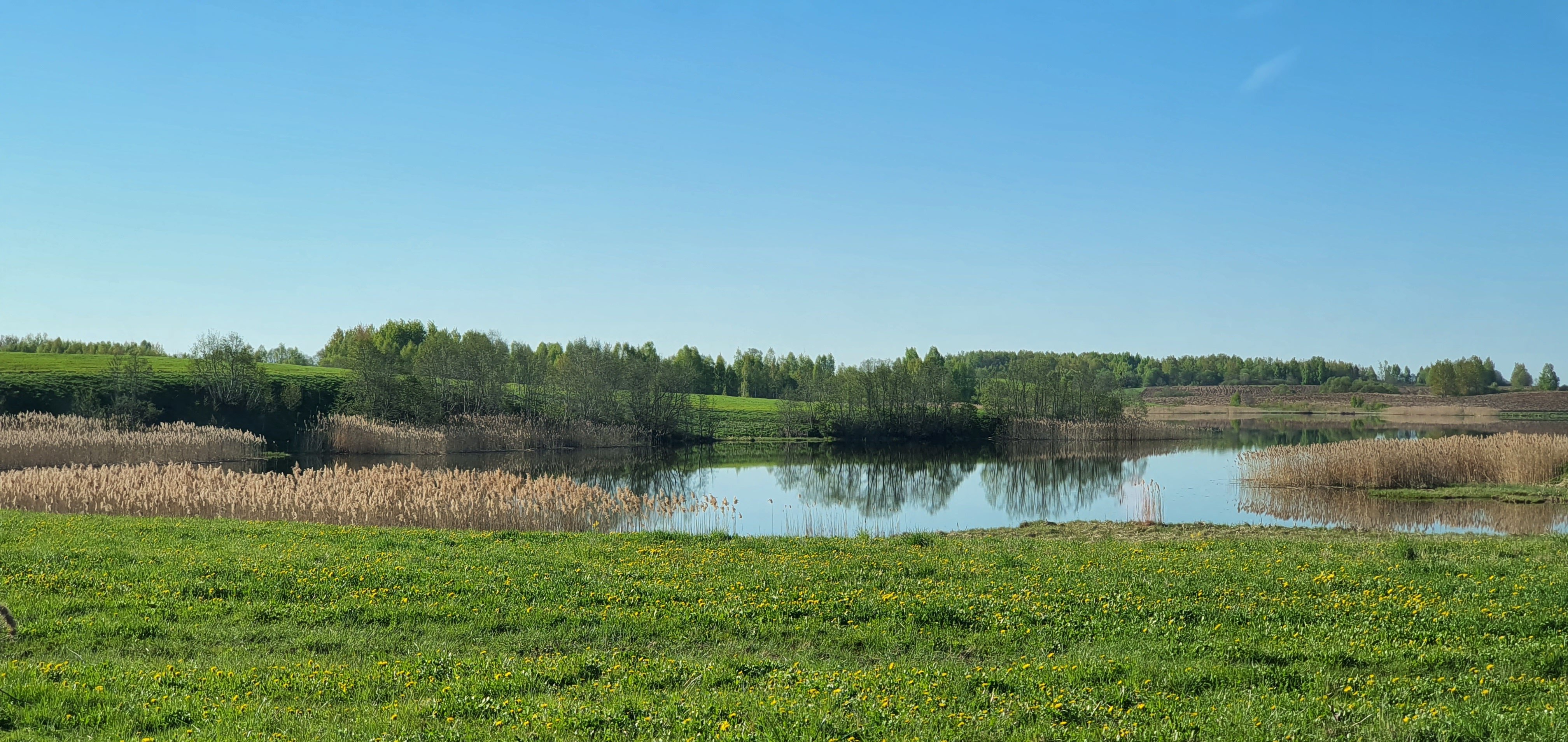 Фото Форт Логово в Бабариках