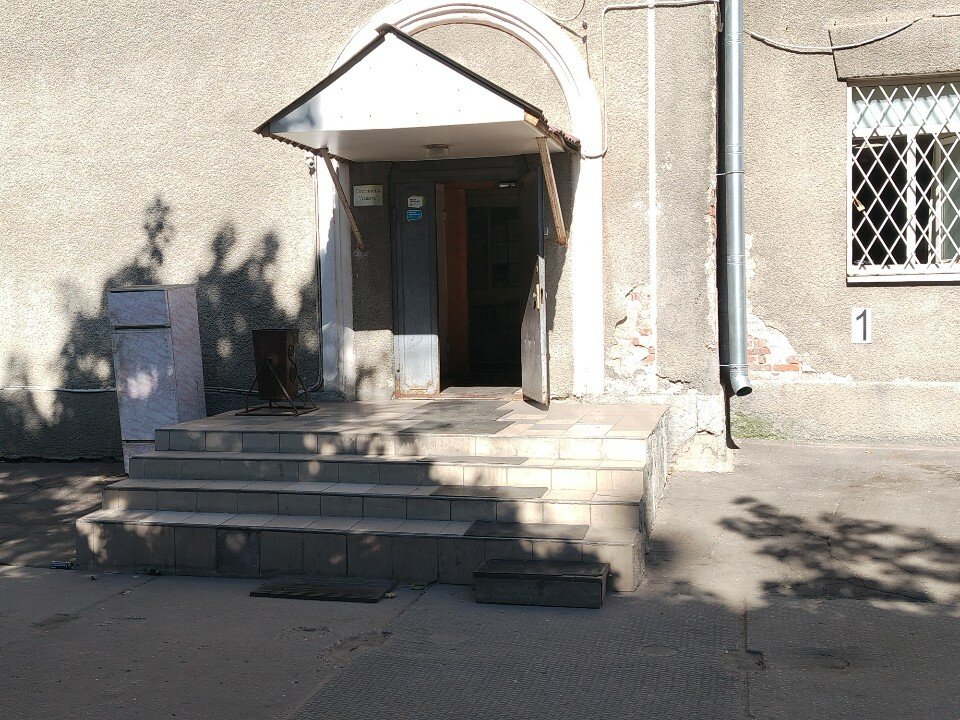 Фото Лакмус