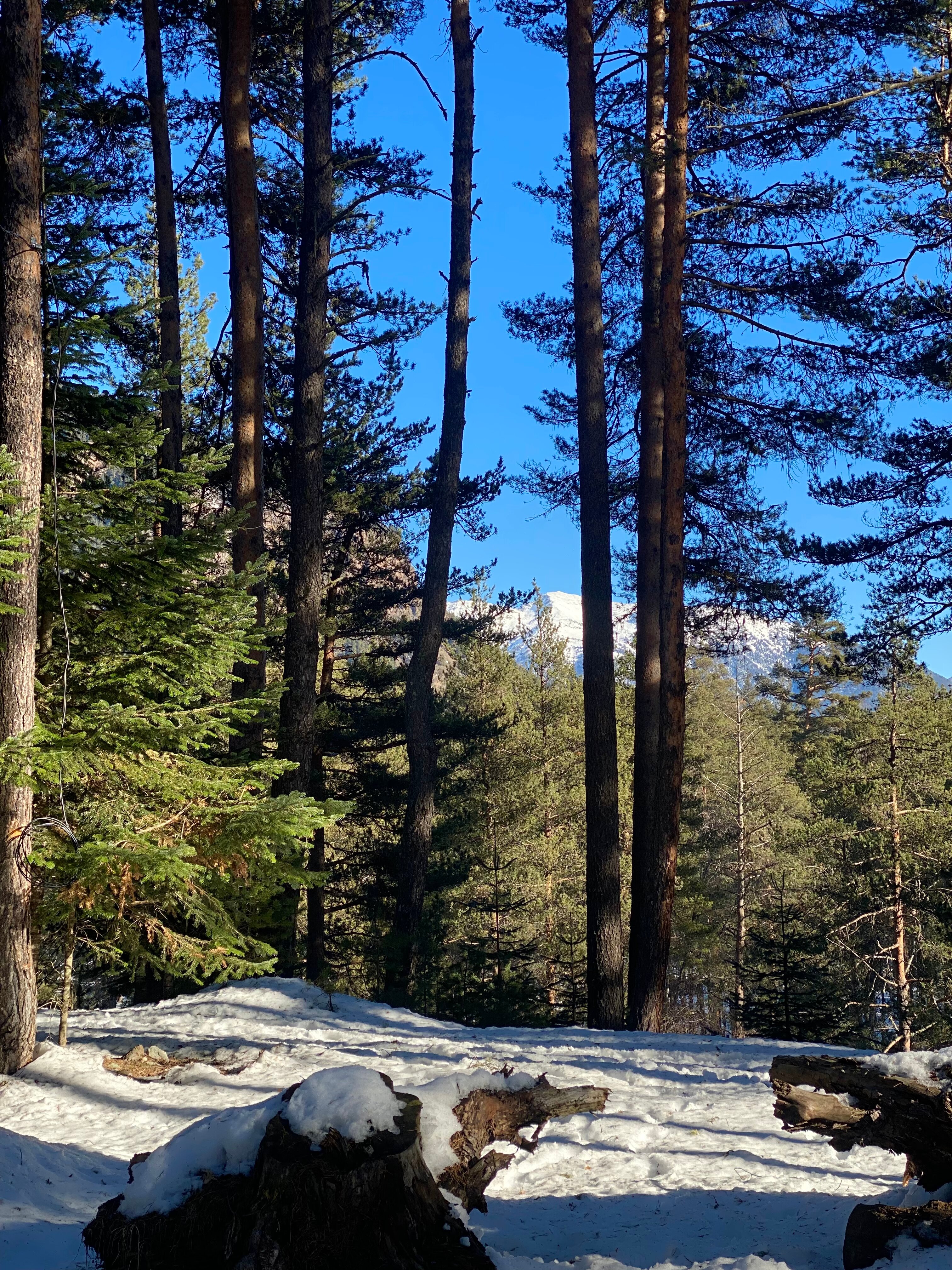 Фото Тихое Место