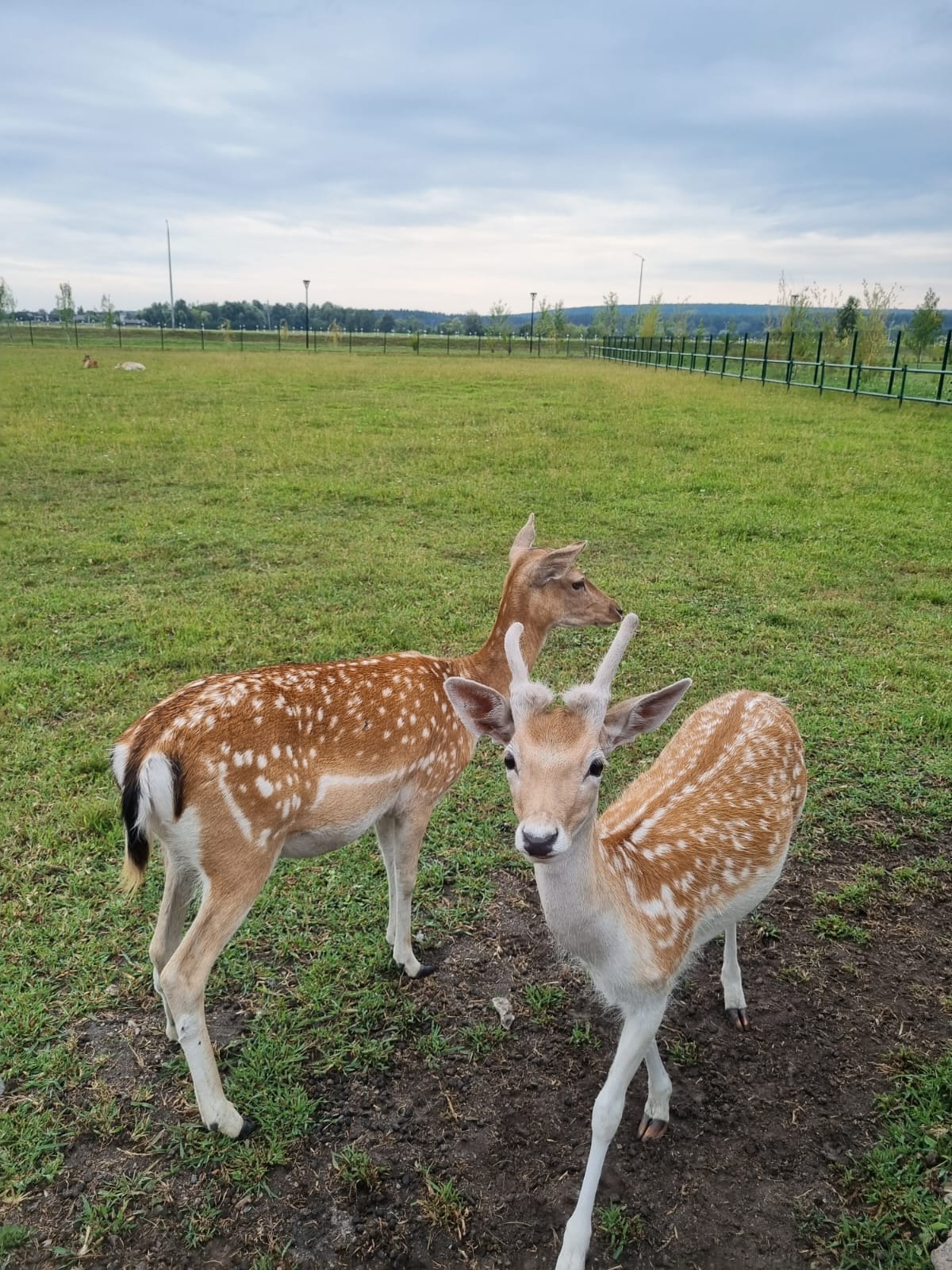 Фото Велнес Курорт Ривьера