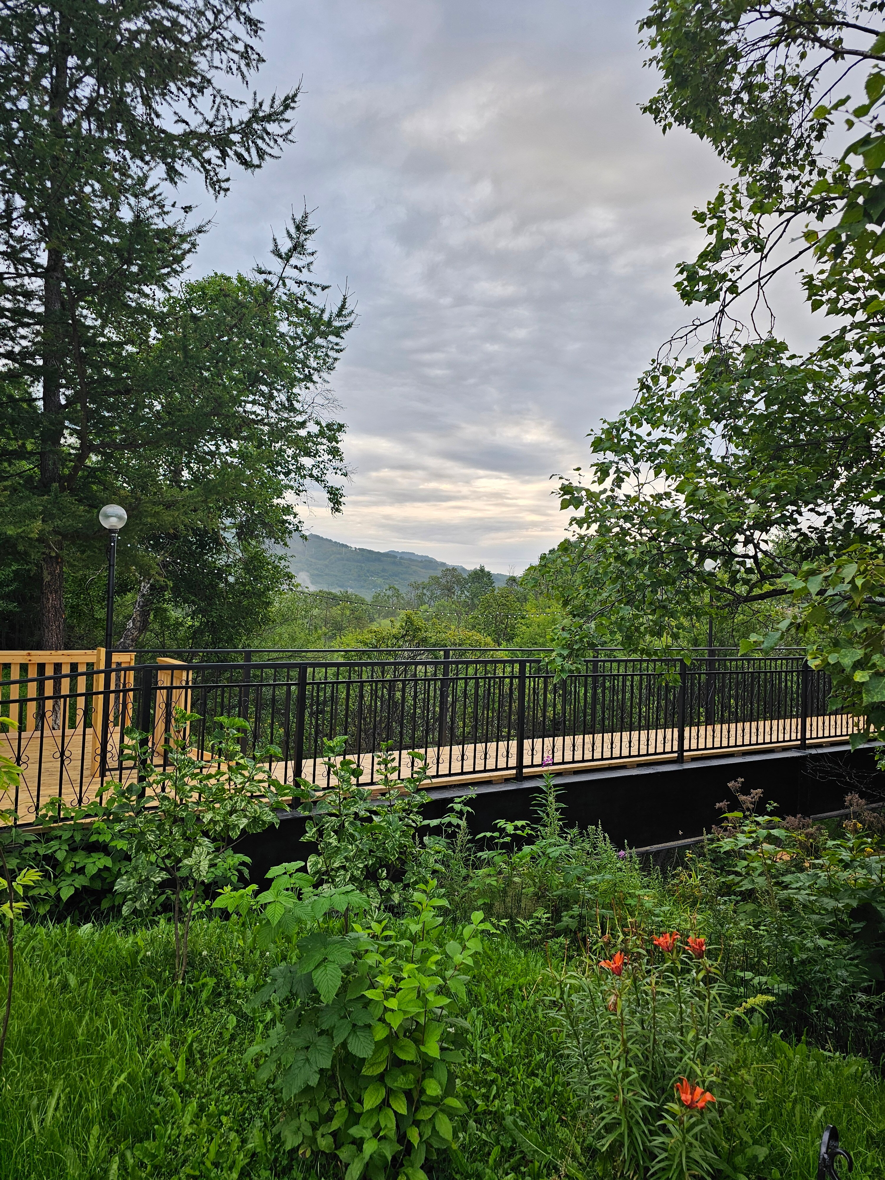 Фото Кречет