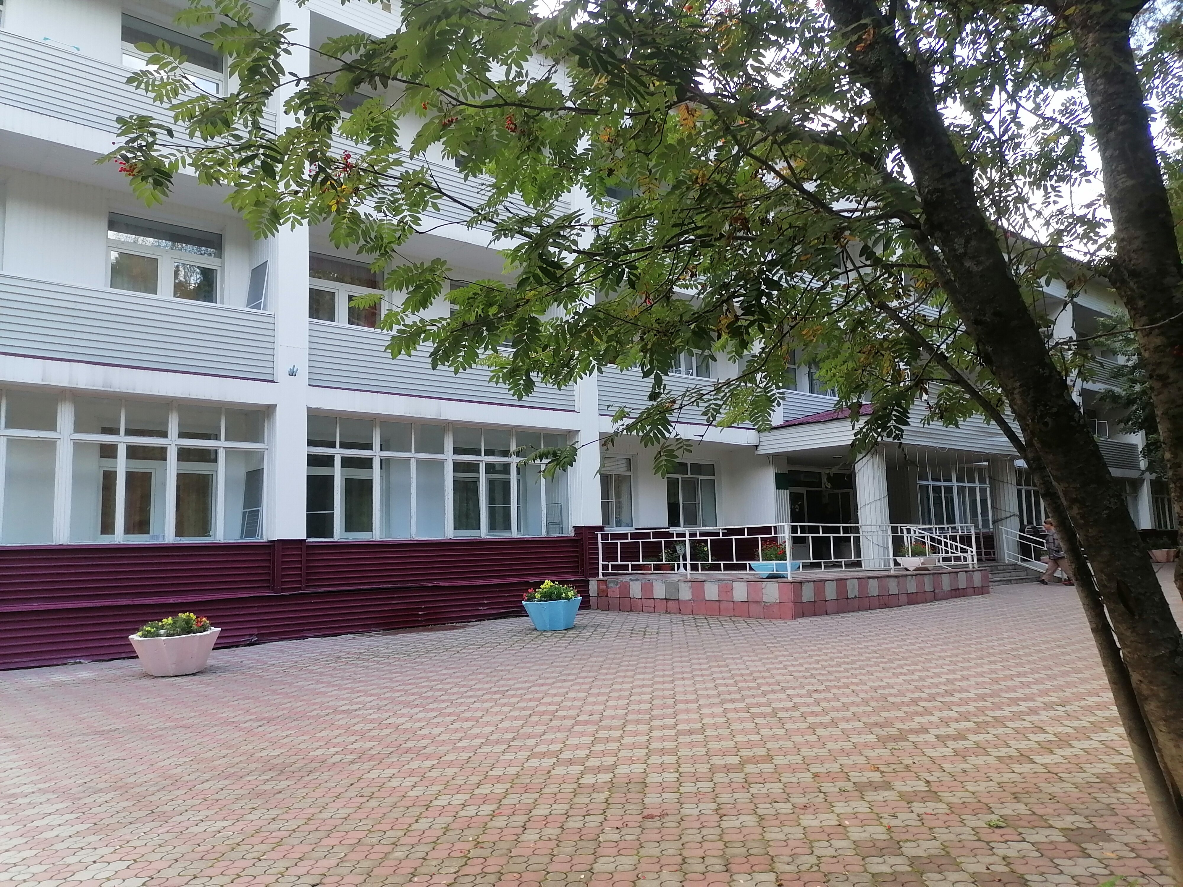 Фото Кедровый бор