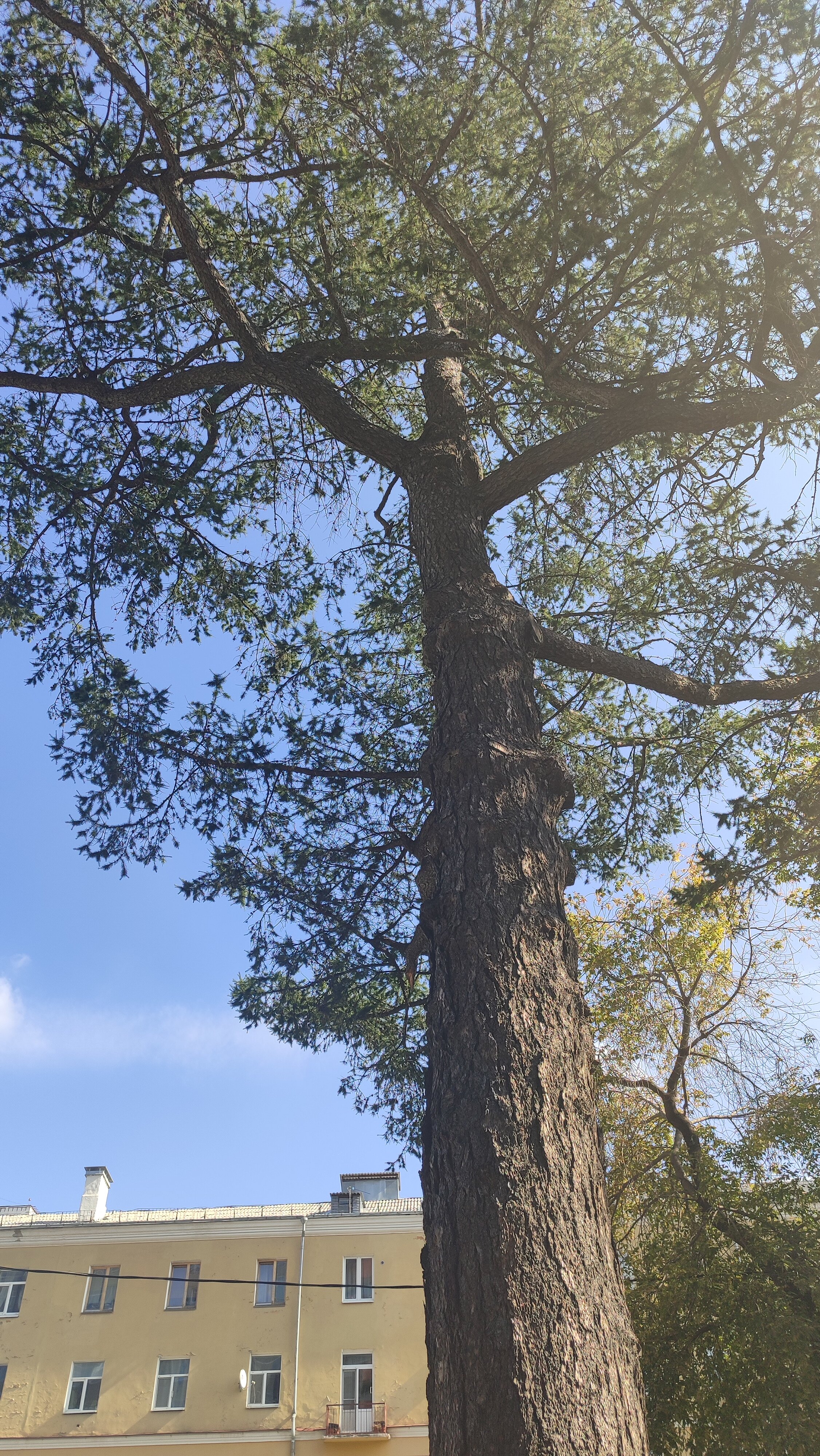 Фото Протекс-отель