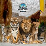 ViaSea Aquarium (İstanbul, Tuzla, Cami Mah., Balıkçılar Sok., 20B), oceanario