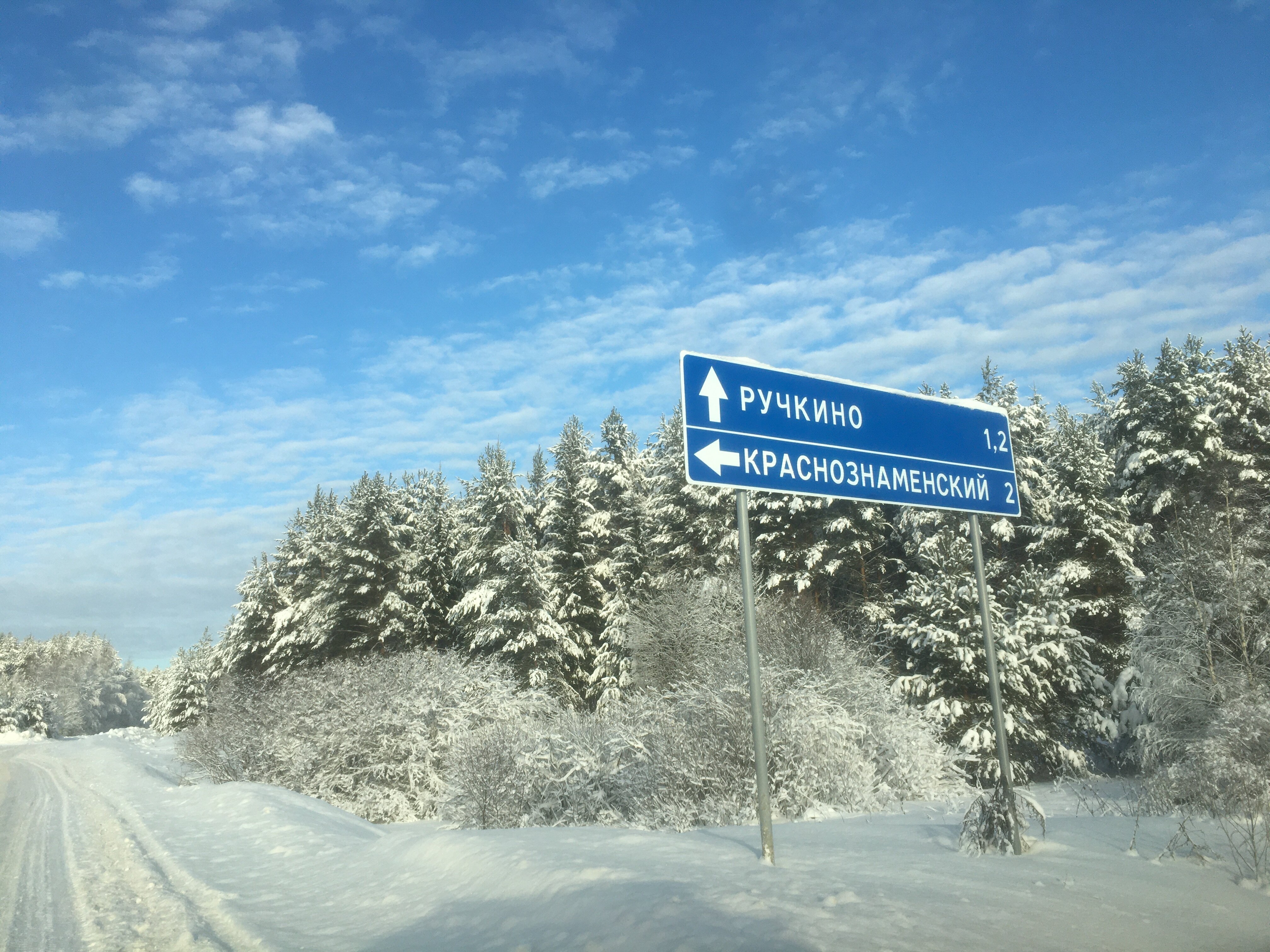 Фото Кедросад