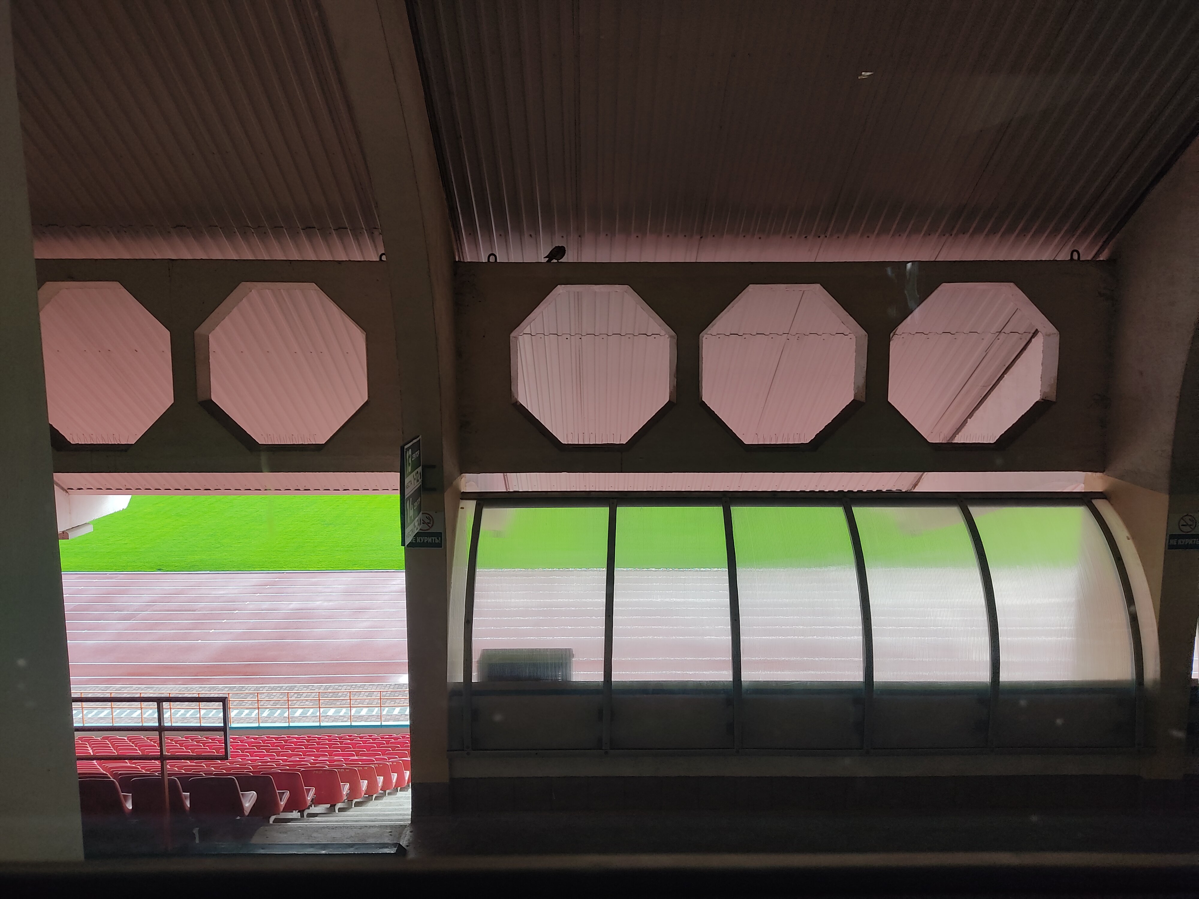 Фото Пять колец