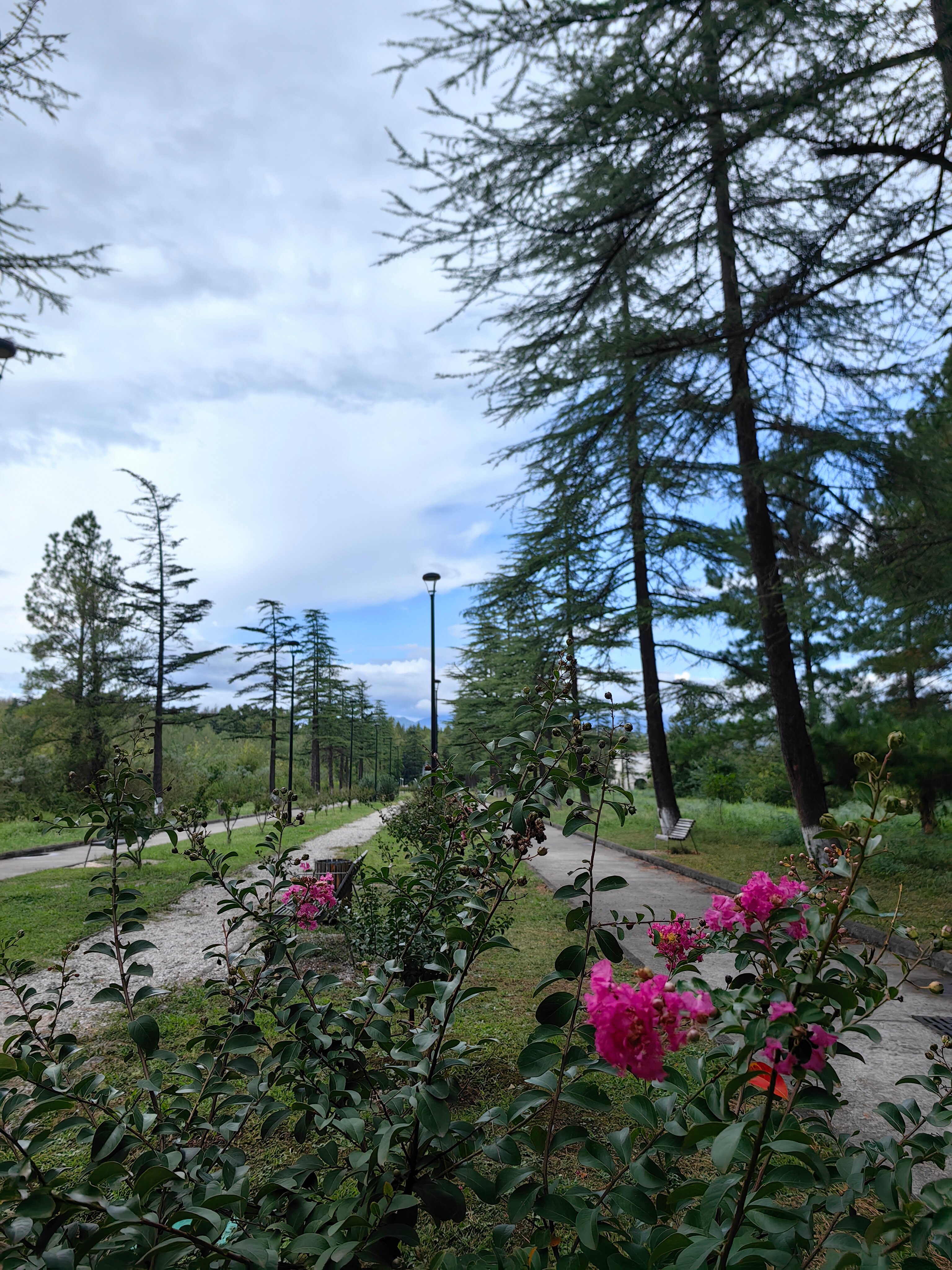 Фото Hotel Prometheus