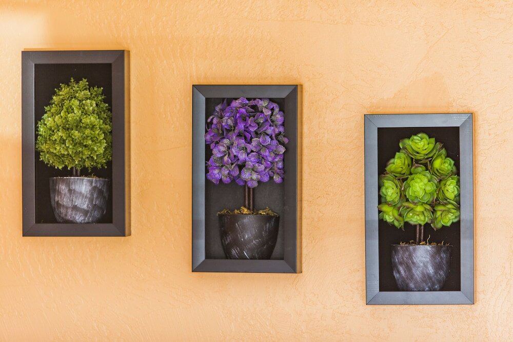 Фото Mountain View Lodge