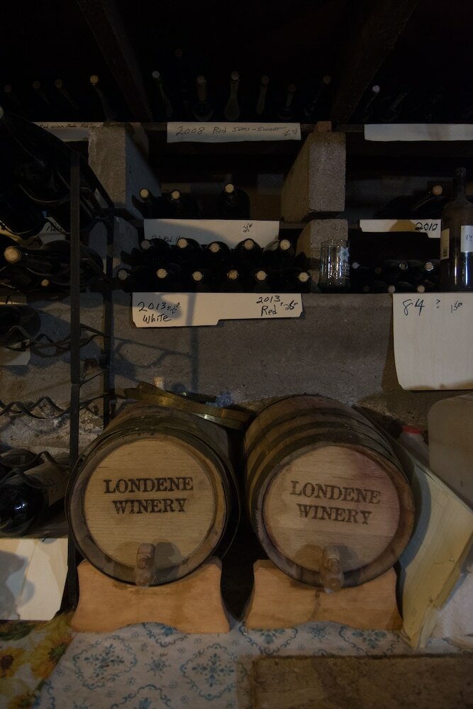 Фото Red Horse Bed and Breakfast