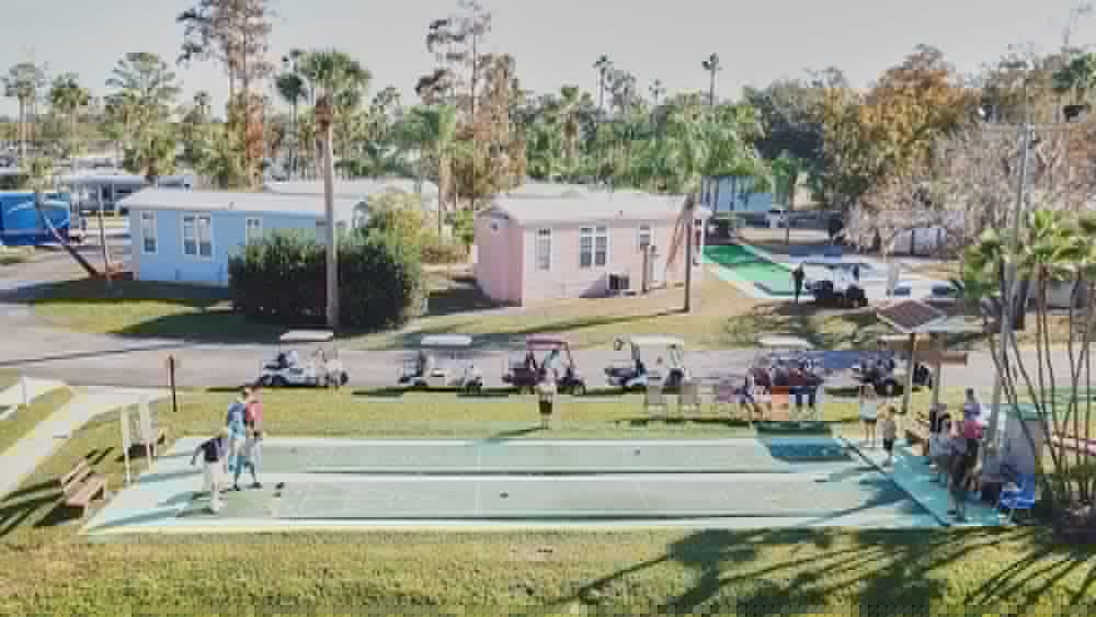 Фото Tropical Palms