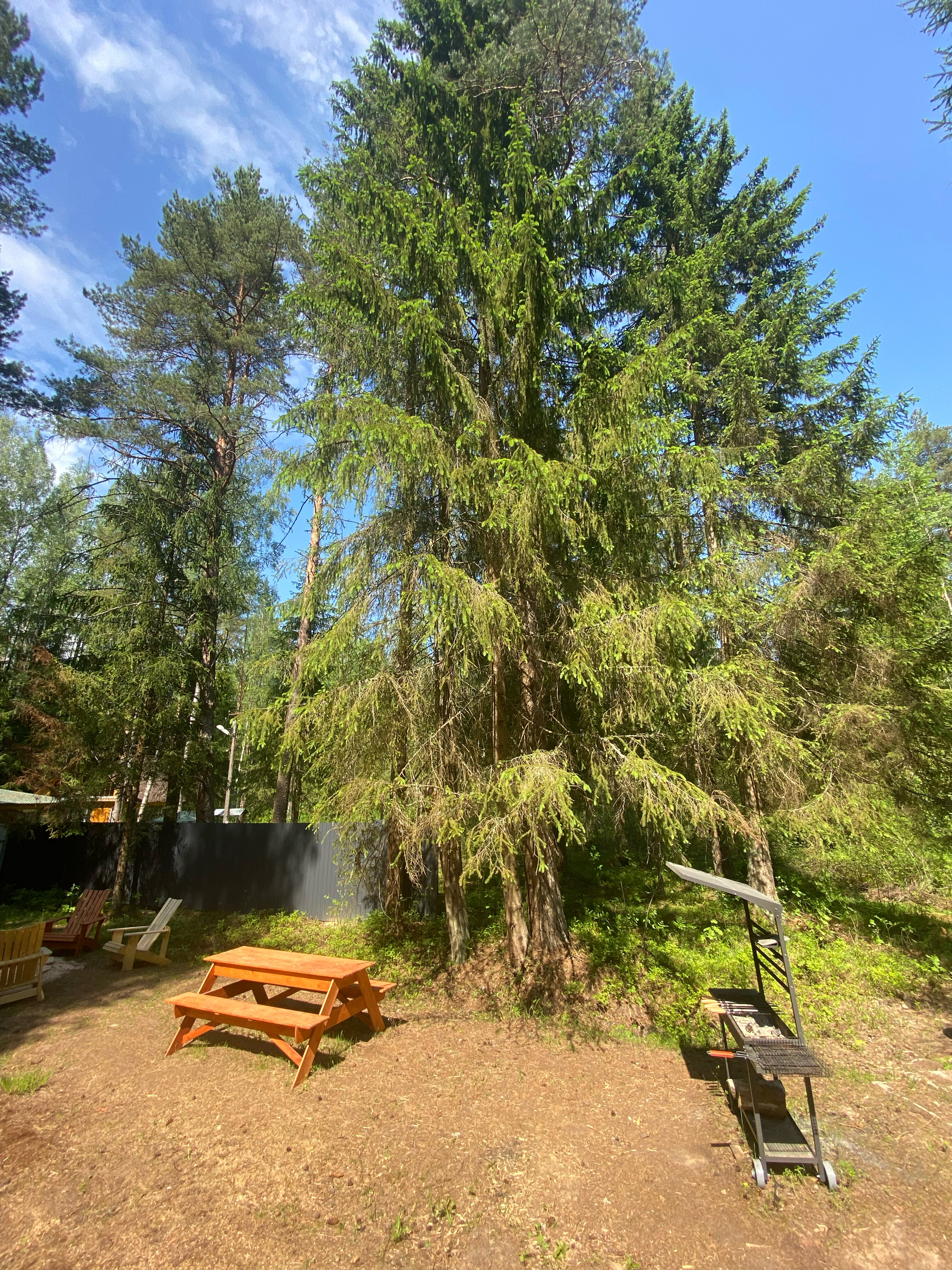 Фото A-frame Friday