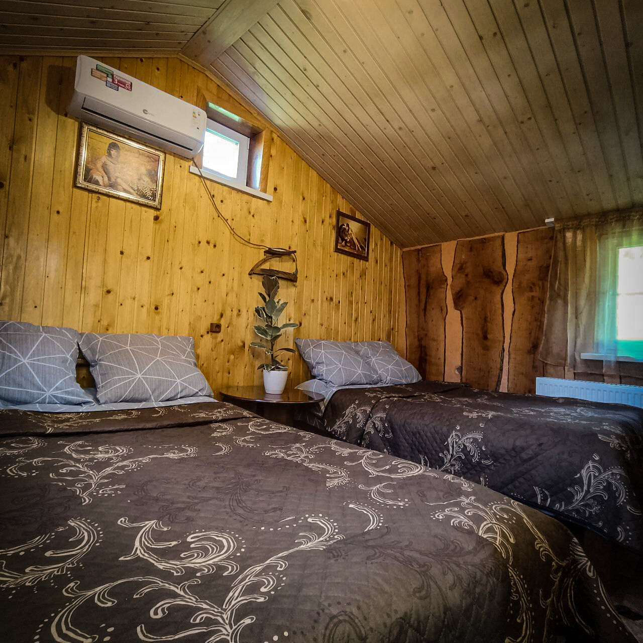 Фото Горная Роза