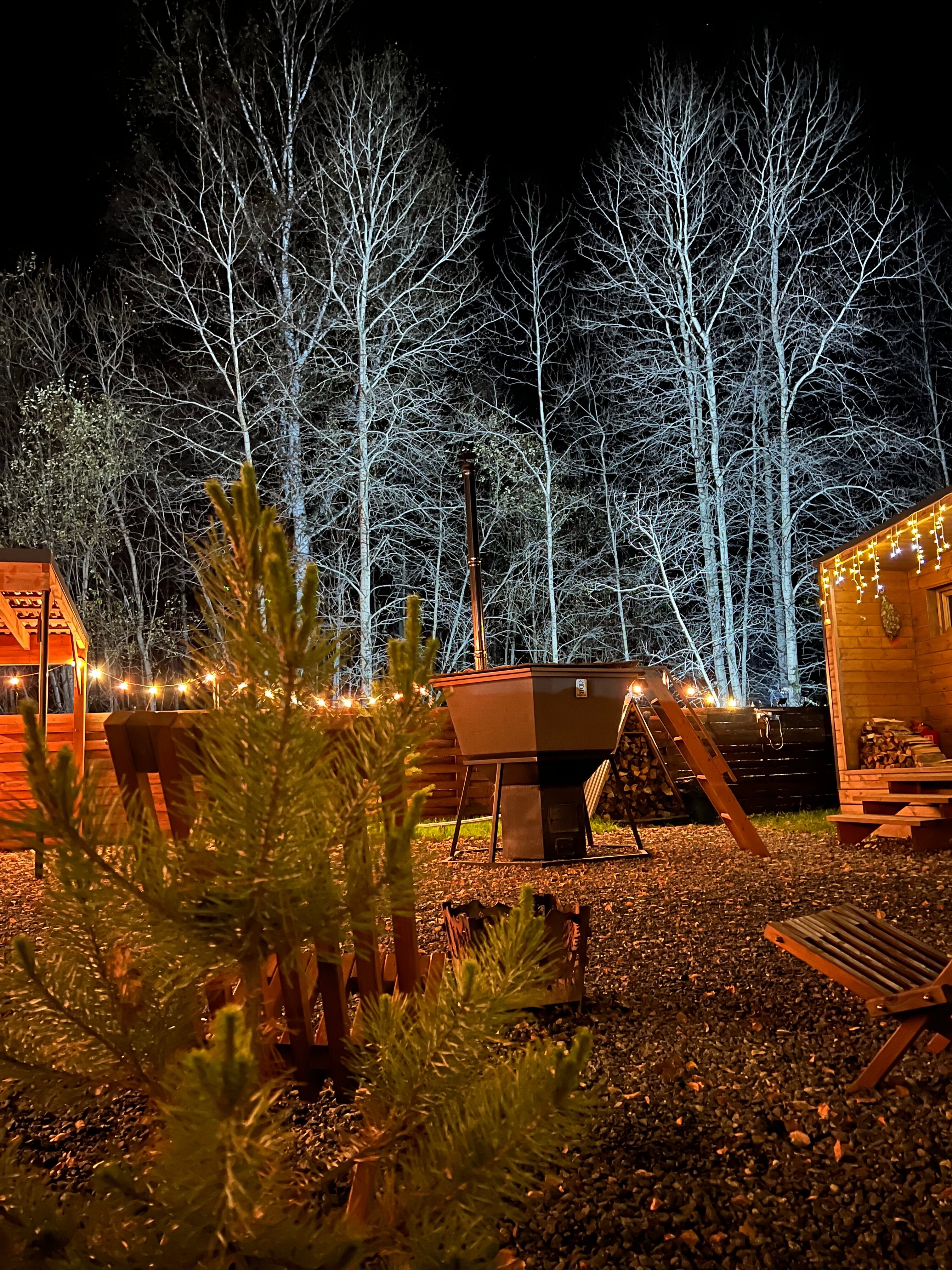 Фото Шёпот леса