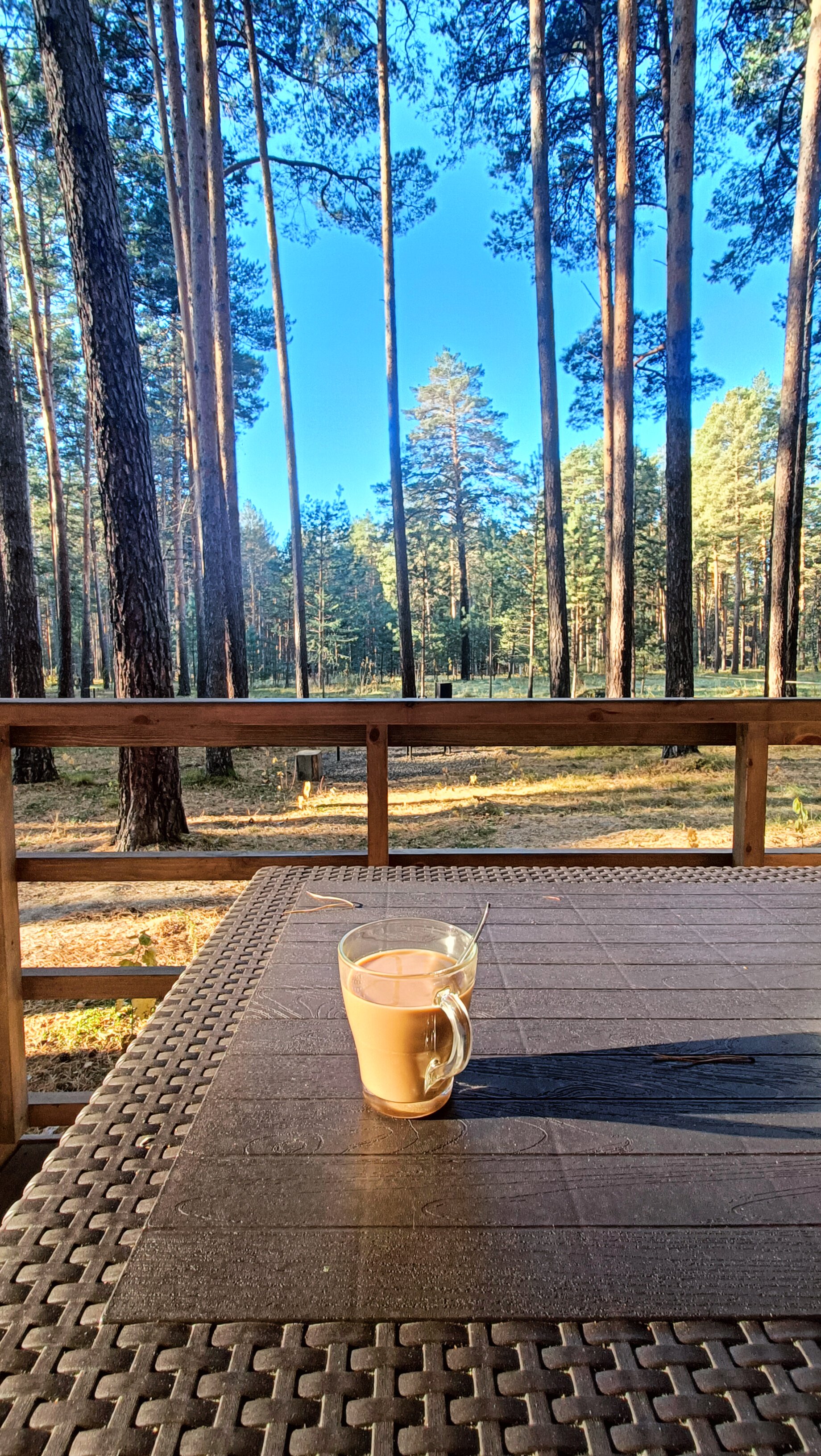 Фото Мишкины Шишки