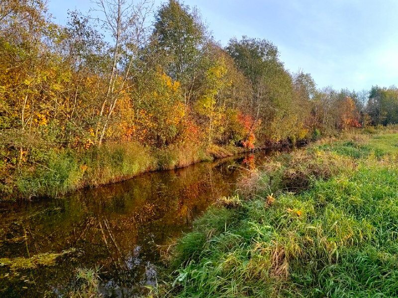 Фото Щастье