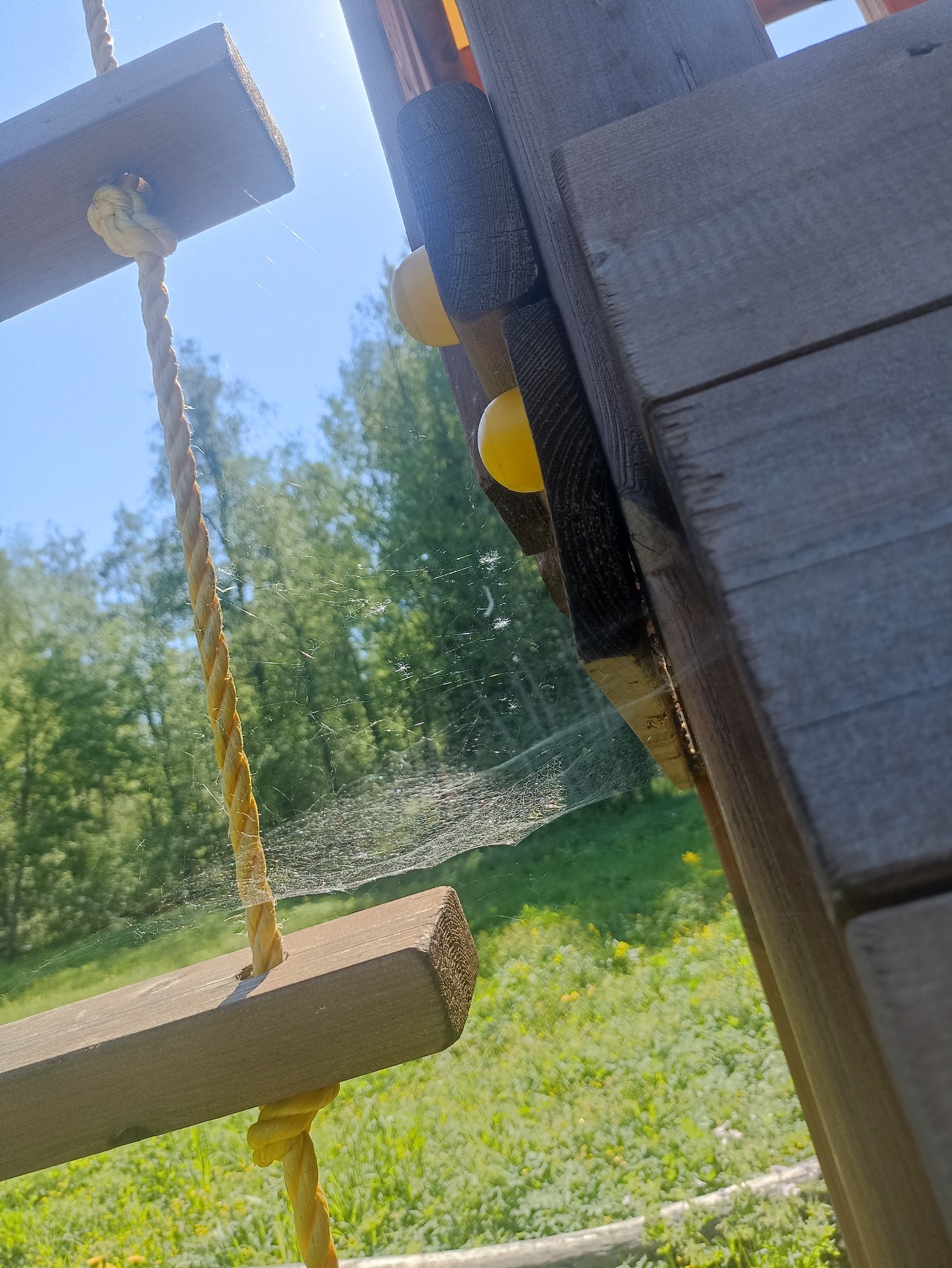 Фото Forest Park