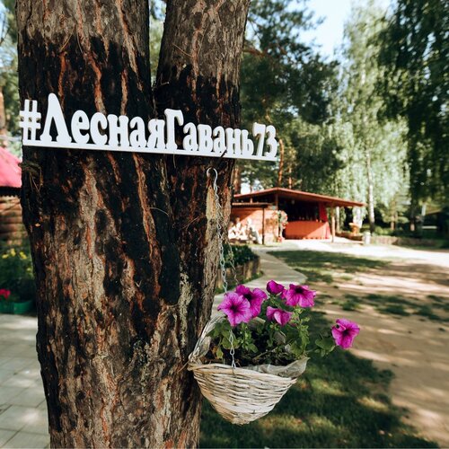 Дом отдыха Лесная гавань в Ульяновской области