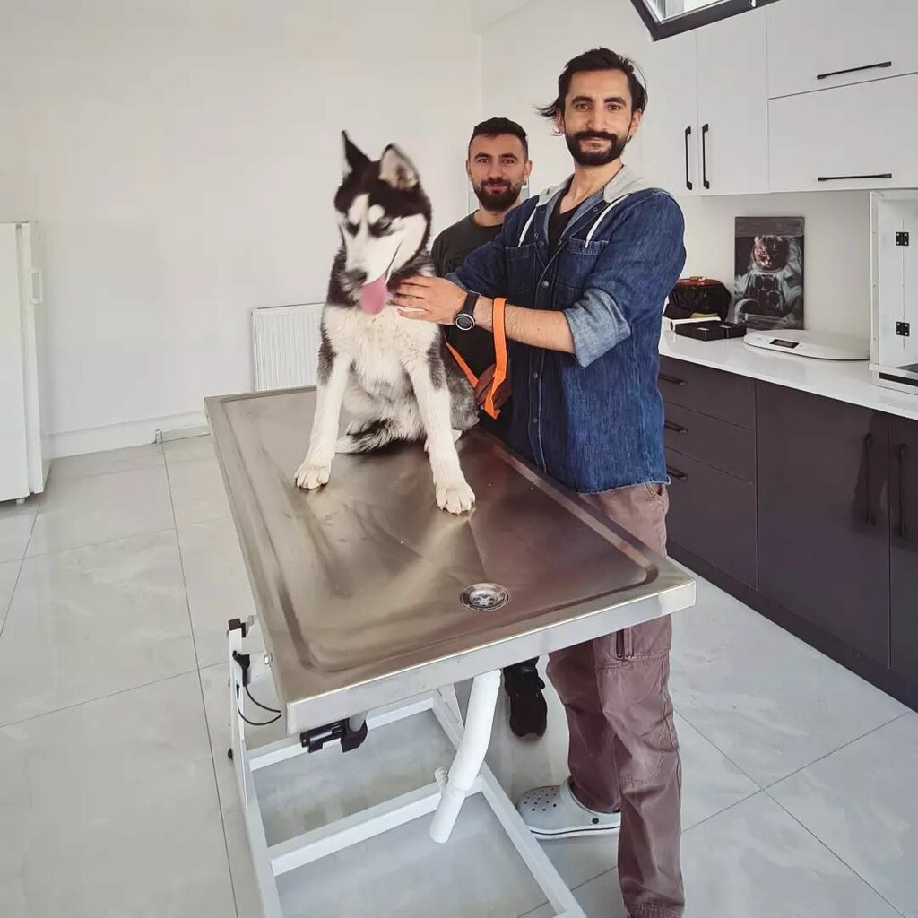 Veterinary clinic Sky Pet Veterinary Clinic, Talas, photo