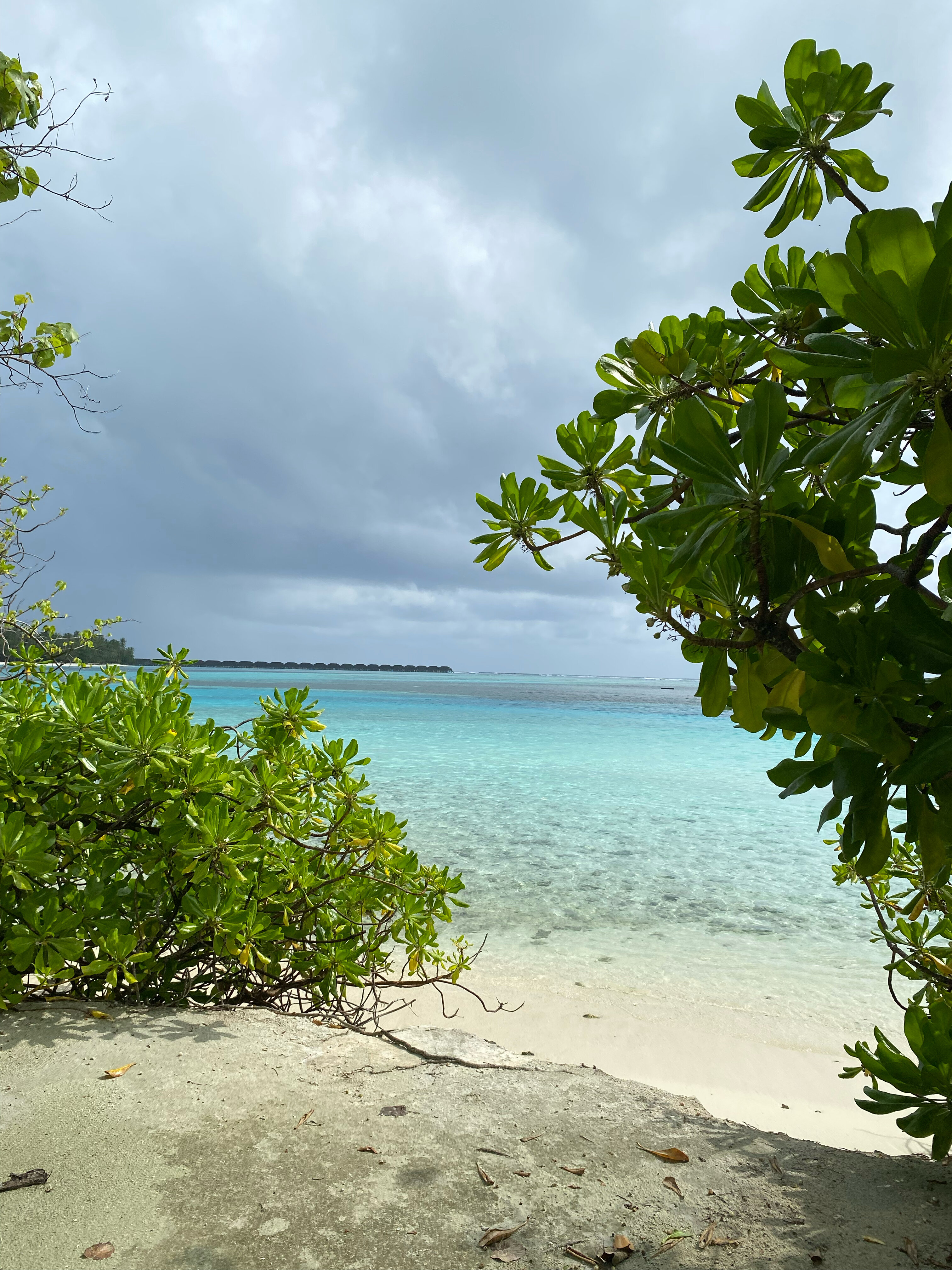 Фото Araamu Hotels Maldives