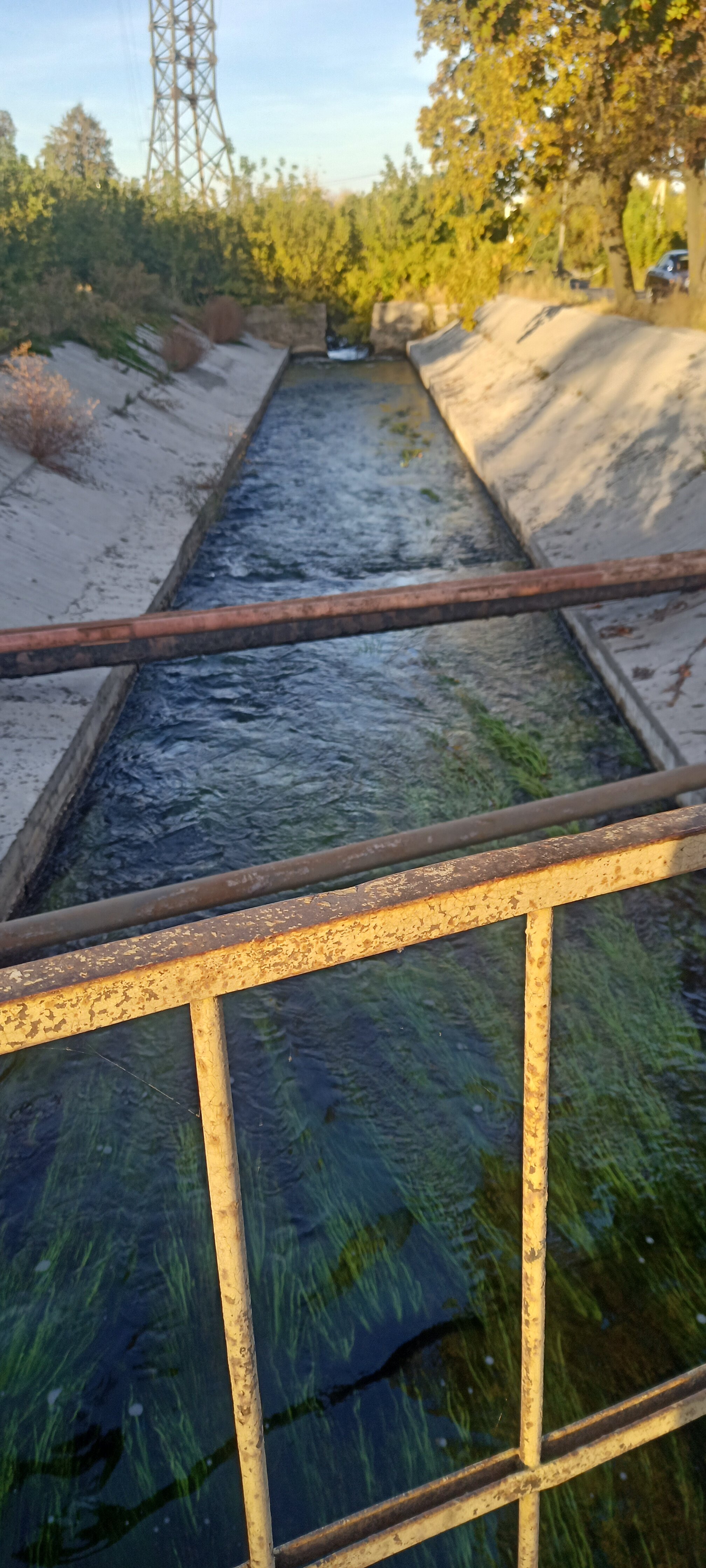 Фото Bed and Breakfast