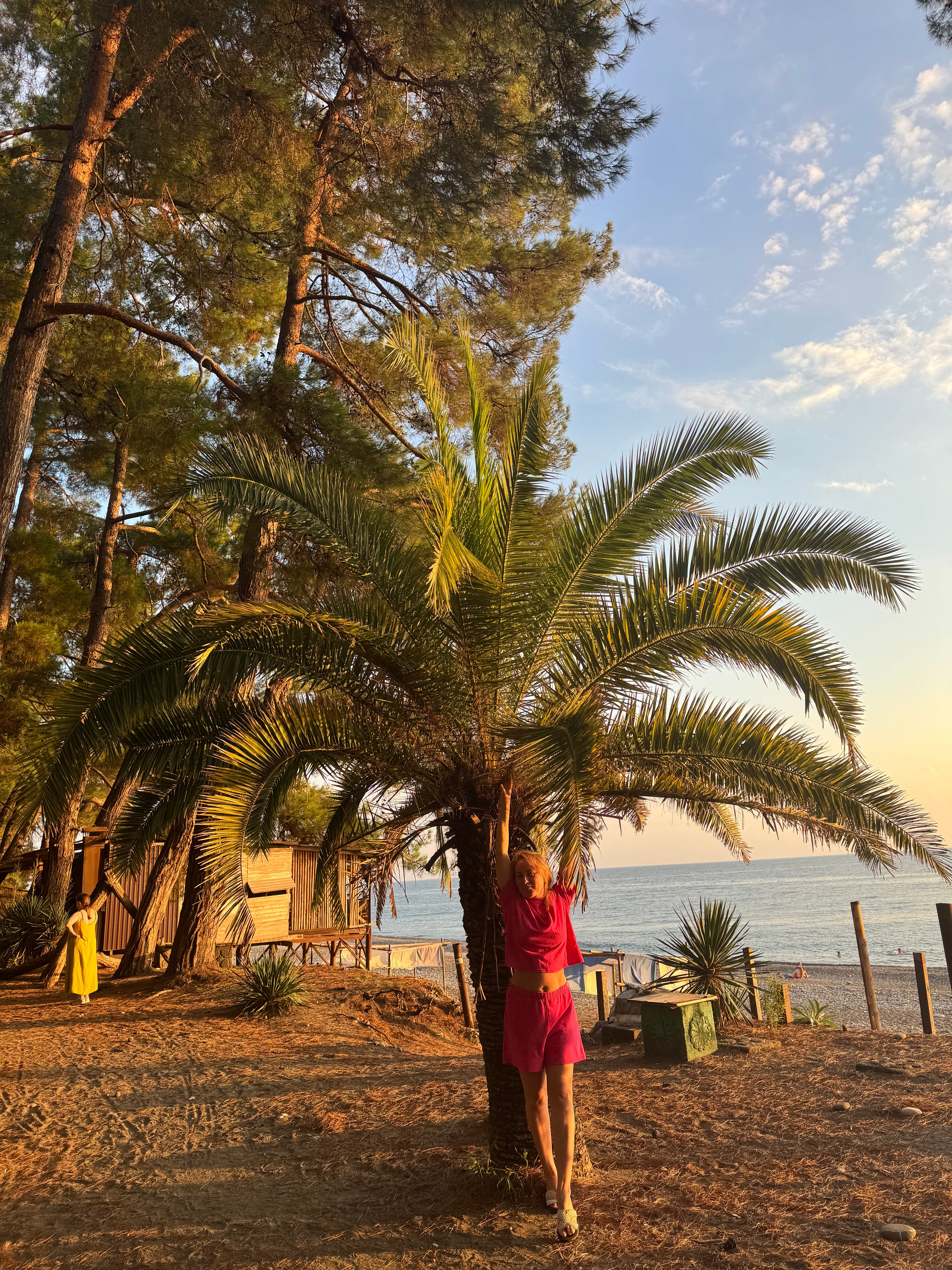 Фото Сосновый рай