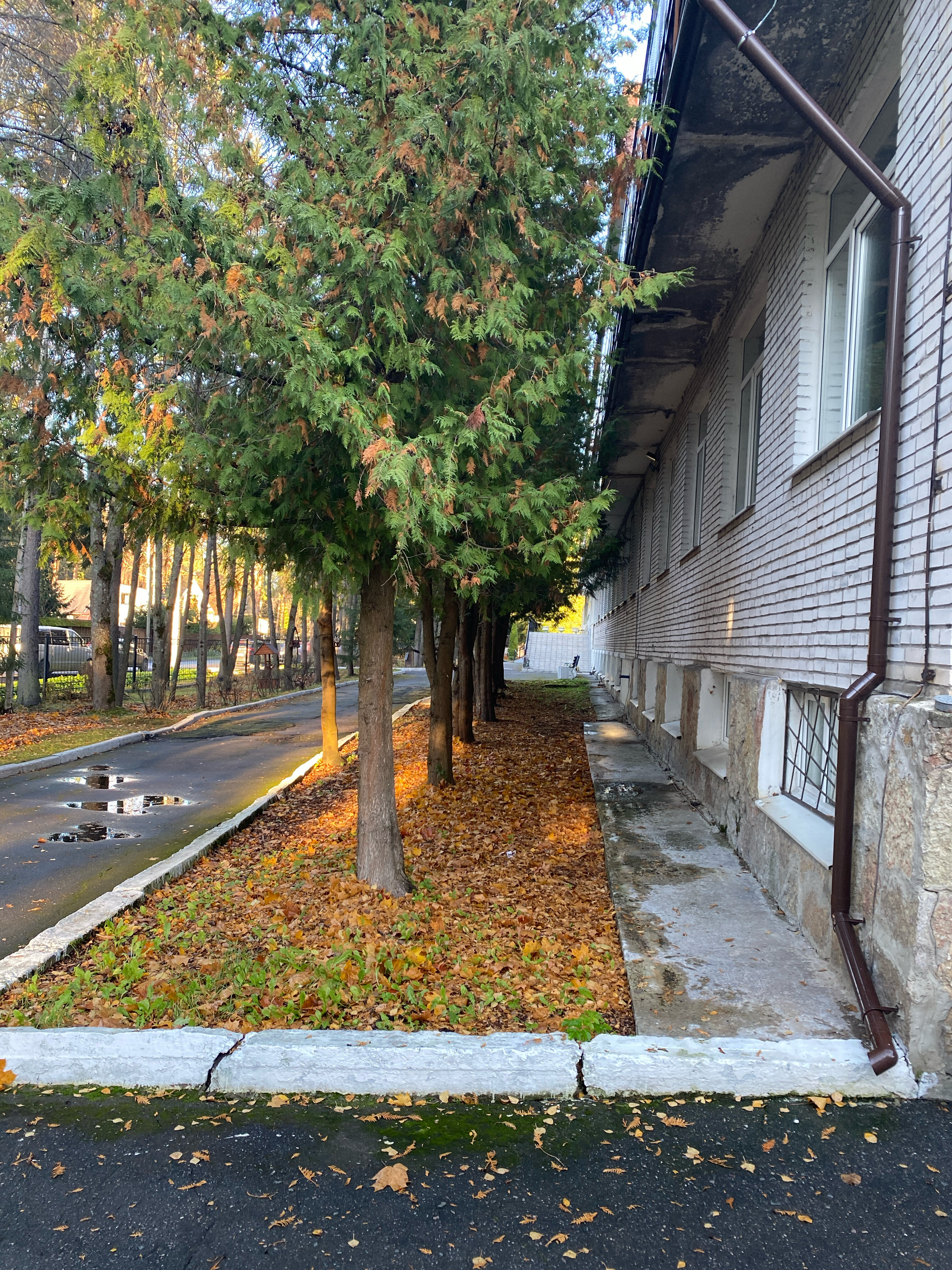 Фото Мельничный Ручей