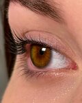 Shumi_brows (Amet-khan Sultana Street, 37), eyebrow and eyelash salon