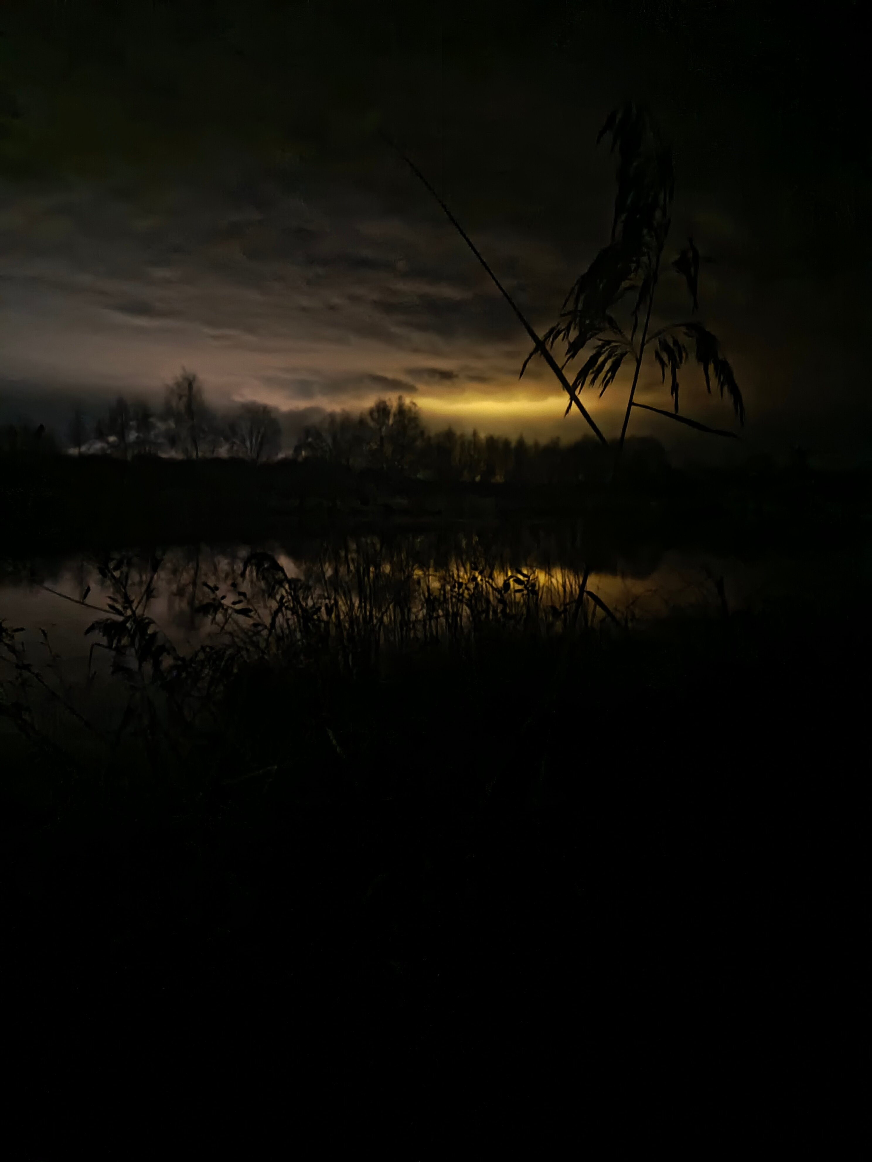 Фото Медведково