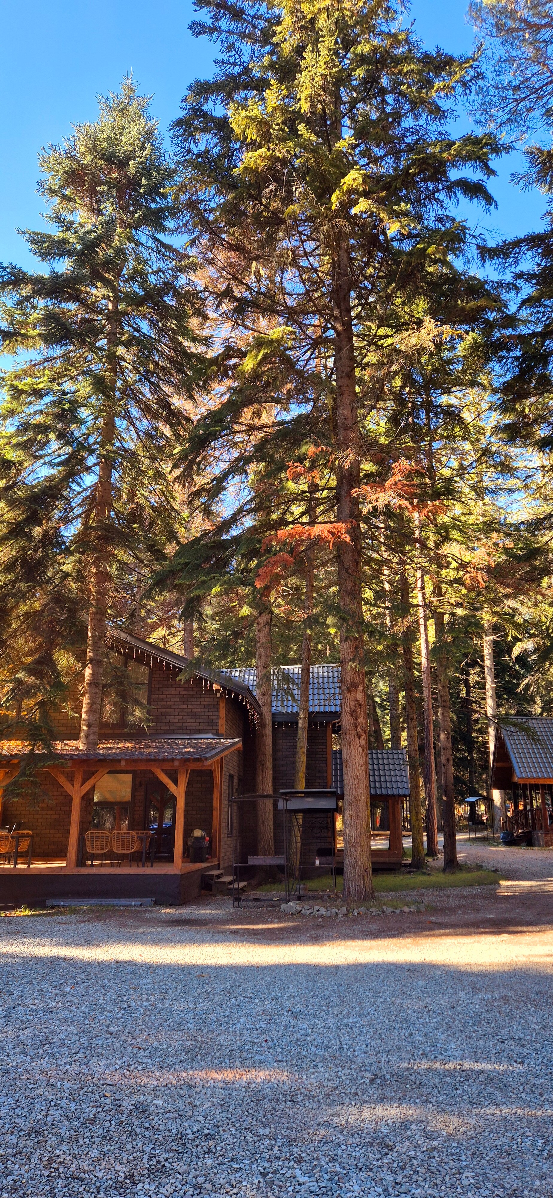 Фото Алан Коттедж