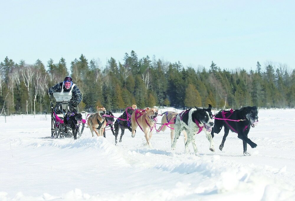 Фото Holiday Inn Express Hotel & Suites Timmins