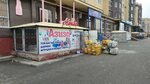 Aziza (Altyn Orda microdistrict, 42Б) ، متجر الهدايا والتذكارات