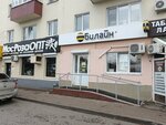 билайн (Oktyabrya Avenue, 164), payment terminal