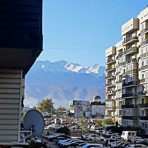 Лозова қызының жынысы