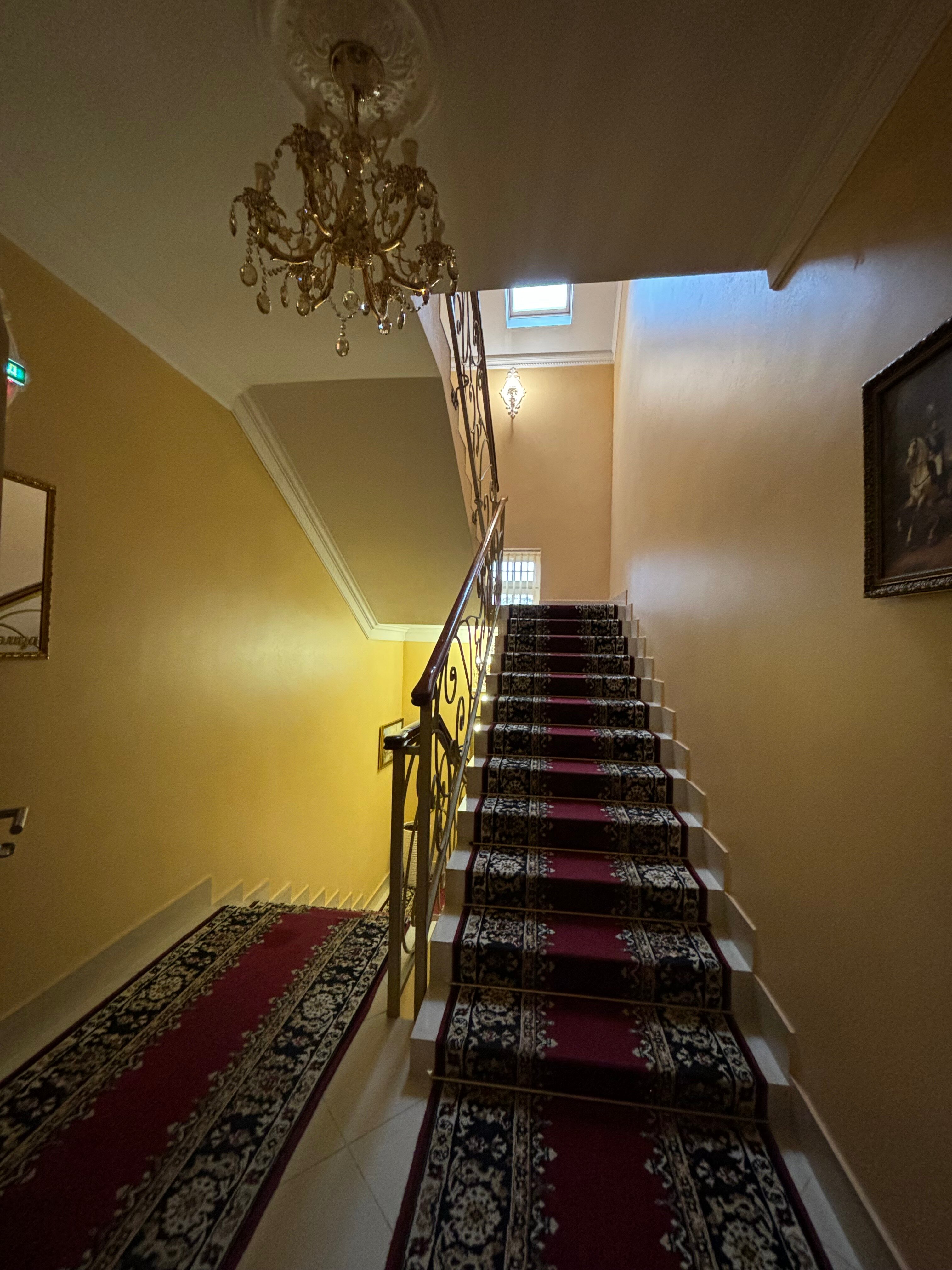 Фото Принцесса Элиза