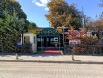 Champions Cafe & Bistro (İstanbul, Büyükçekmece, Pınartepe Mah., Sahil Yolu Cad., 11), bar, pub