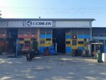 Three Wrist Automotive Subsidiaries (Bursa, Nilüfer, Üçevler Mah., 27. Sok., 72), empresa manufacturera