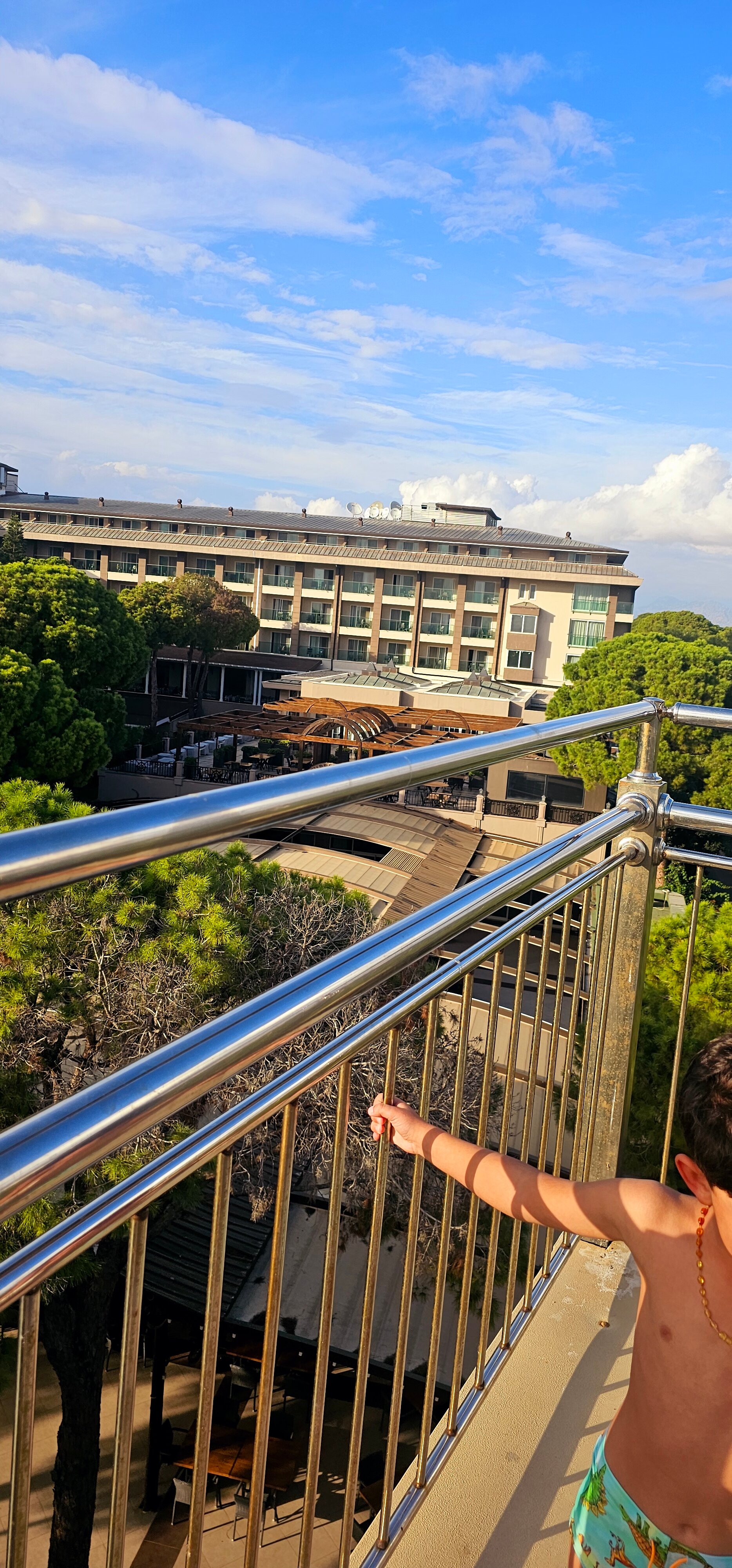 Фото Papillon Ayscha